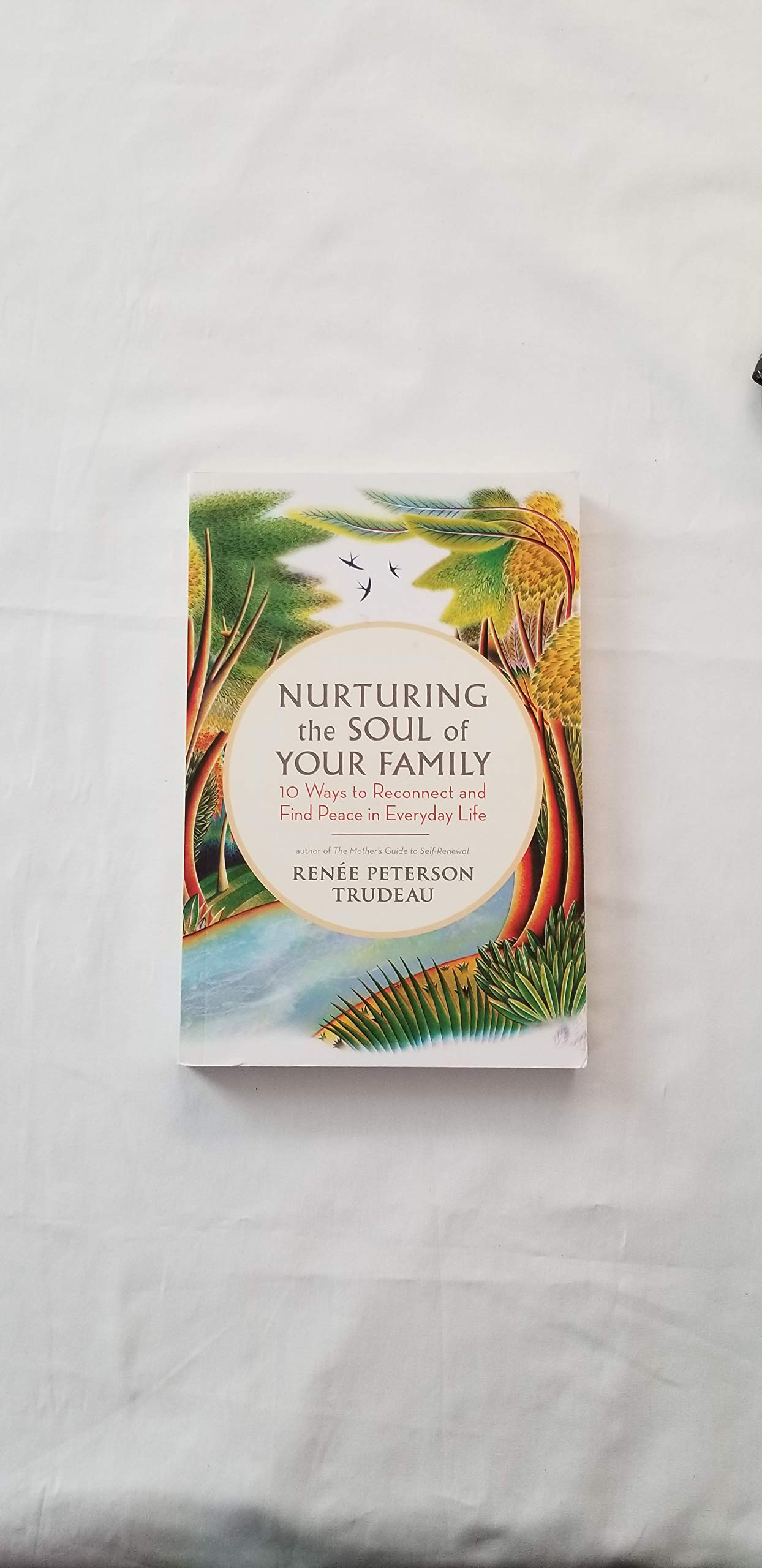 Nurturing The Soul Of Your Family: 10 Ways To Reconnect And Find Peace In Everyday Life,Used
