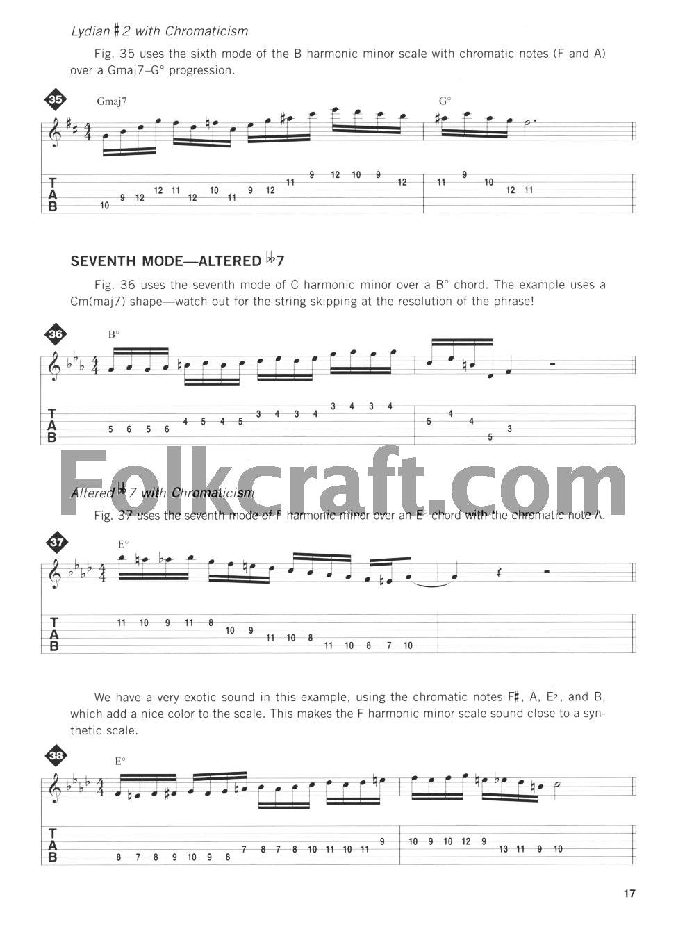 Advanced Scale Concepts and Licks for Guitar: Private Lessons,Used