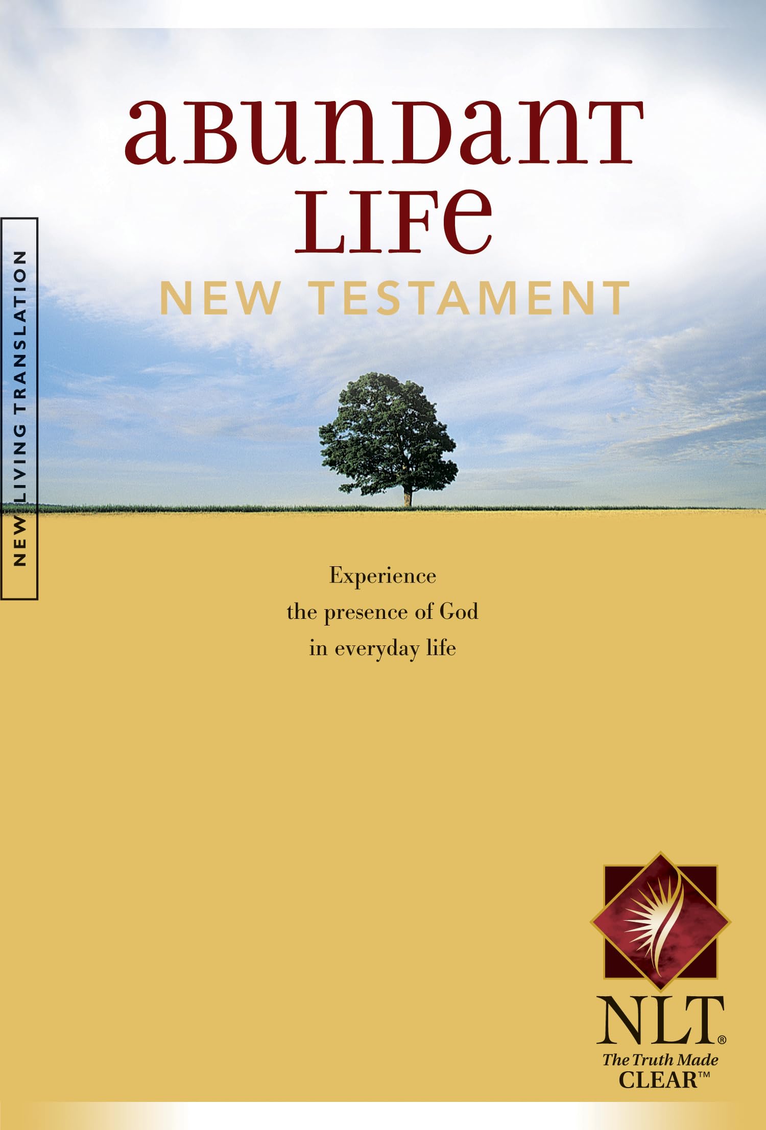 Abundant Life Bible New Testament (Softcover),Used