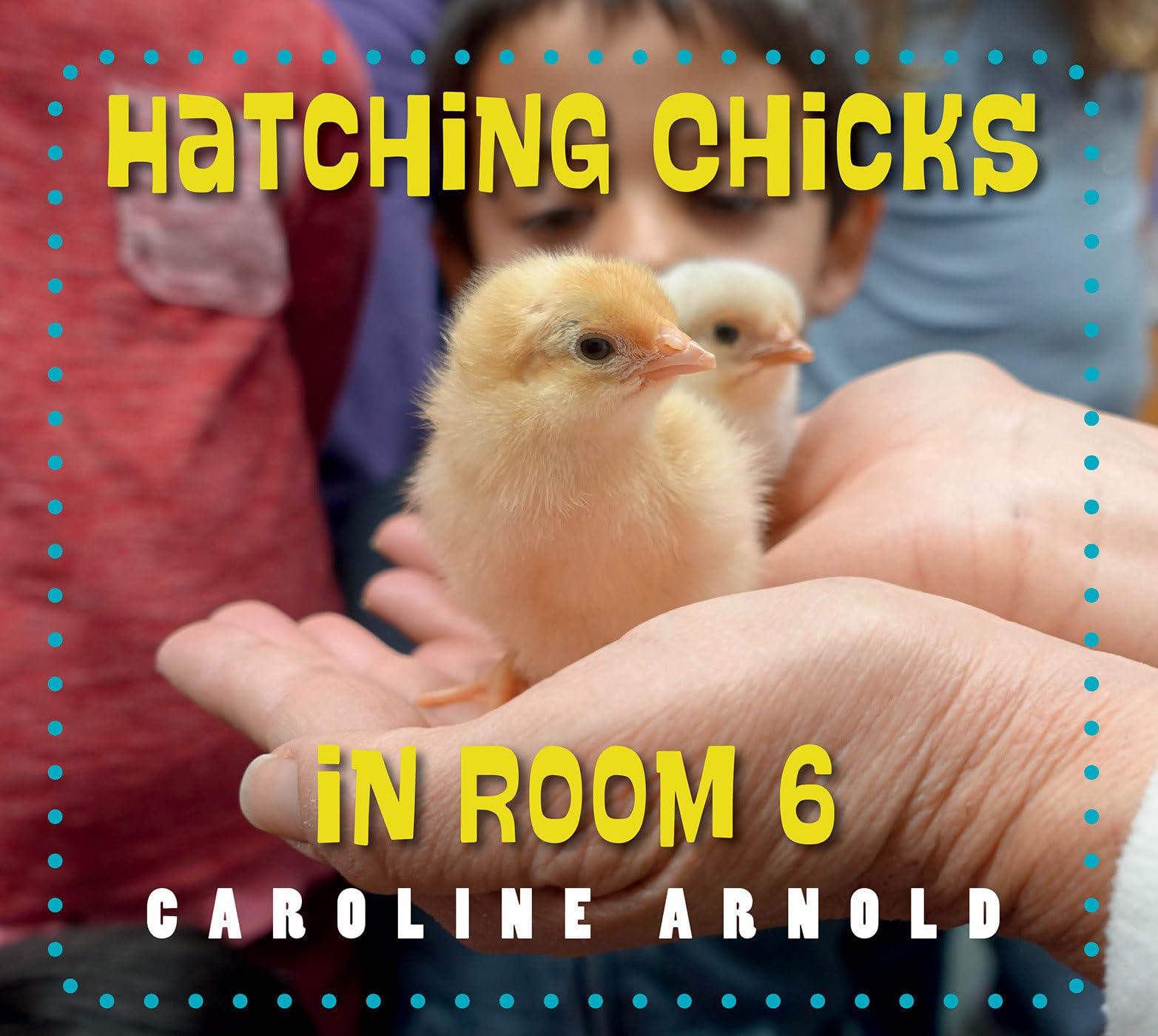 Hatching Chicks In Room 6 (Life Cycles In Room 6),Used