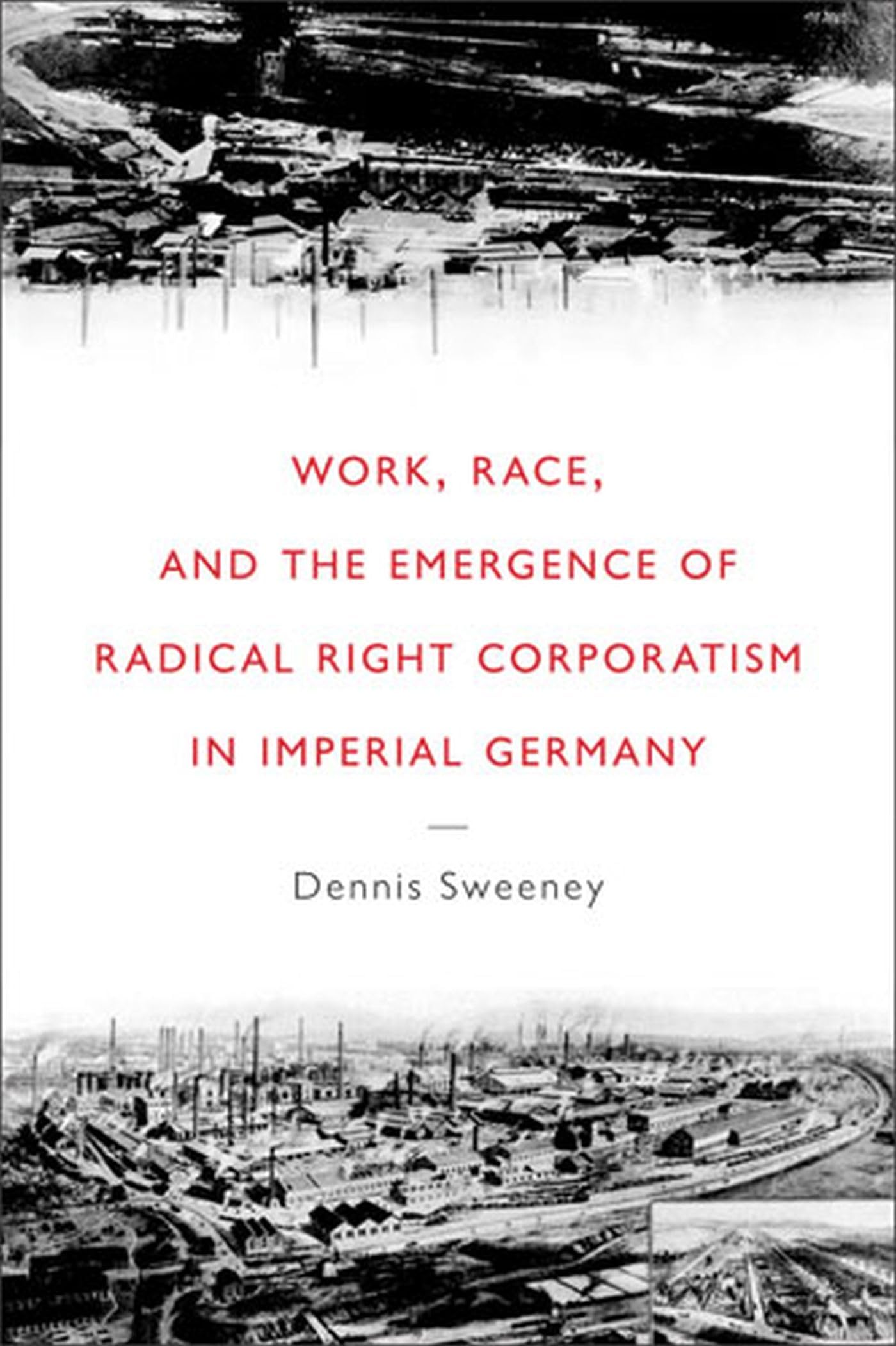 Work, Race, and the Emergence of Radical Right Corporatism in Imperial Germany (Social History, Popular Culture, And Politics In,Used