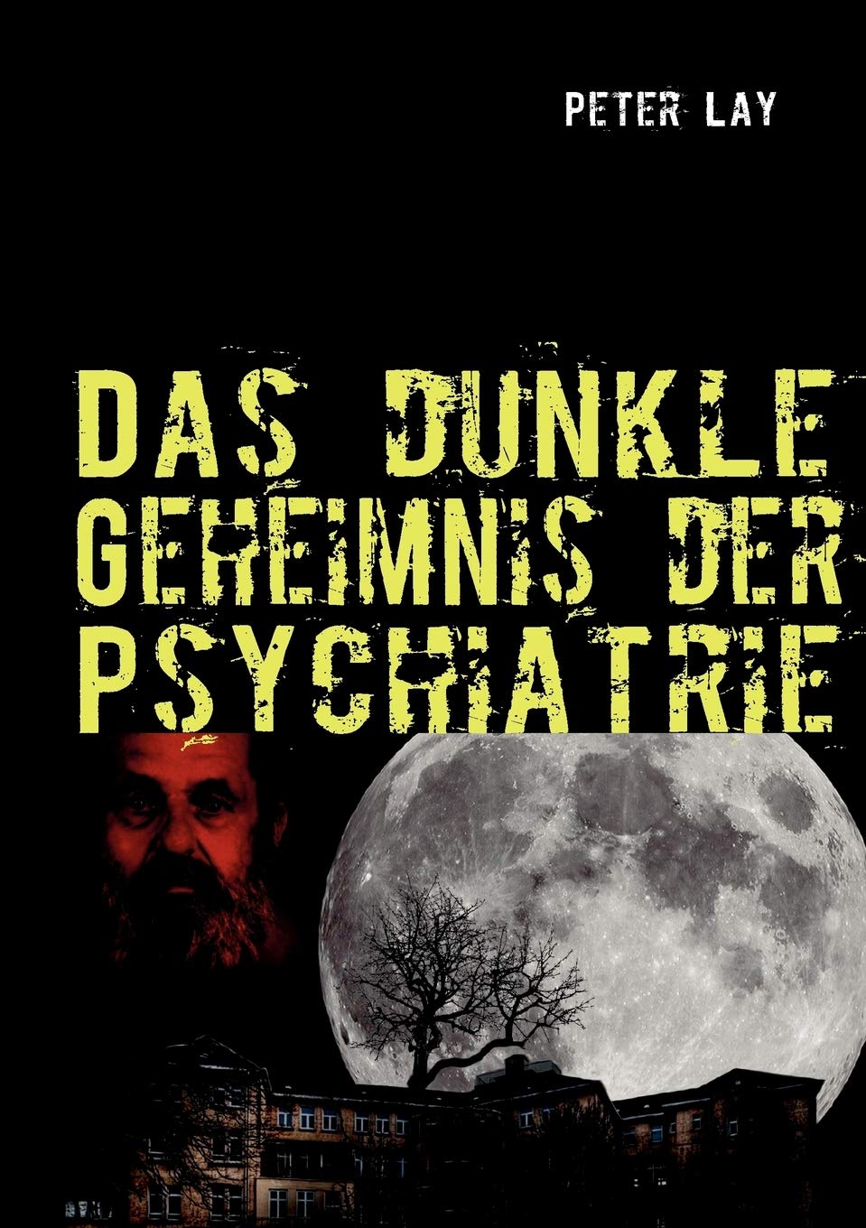Das dunkle Geheimnis der Psychiatrie: Der Leidensweg des Emil Johannes Pfautsch (German Edition),Used