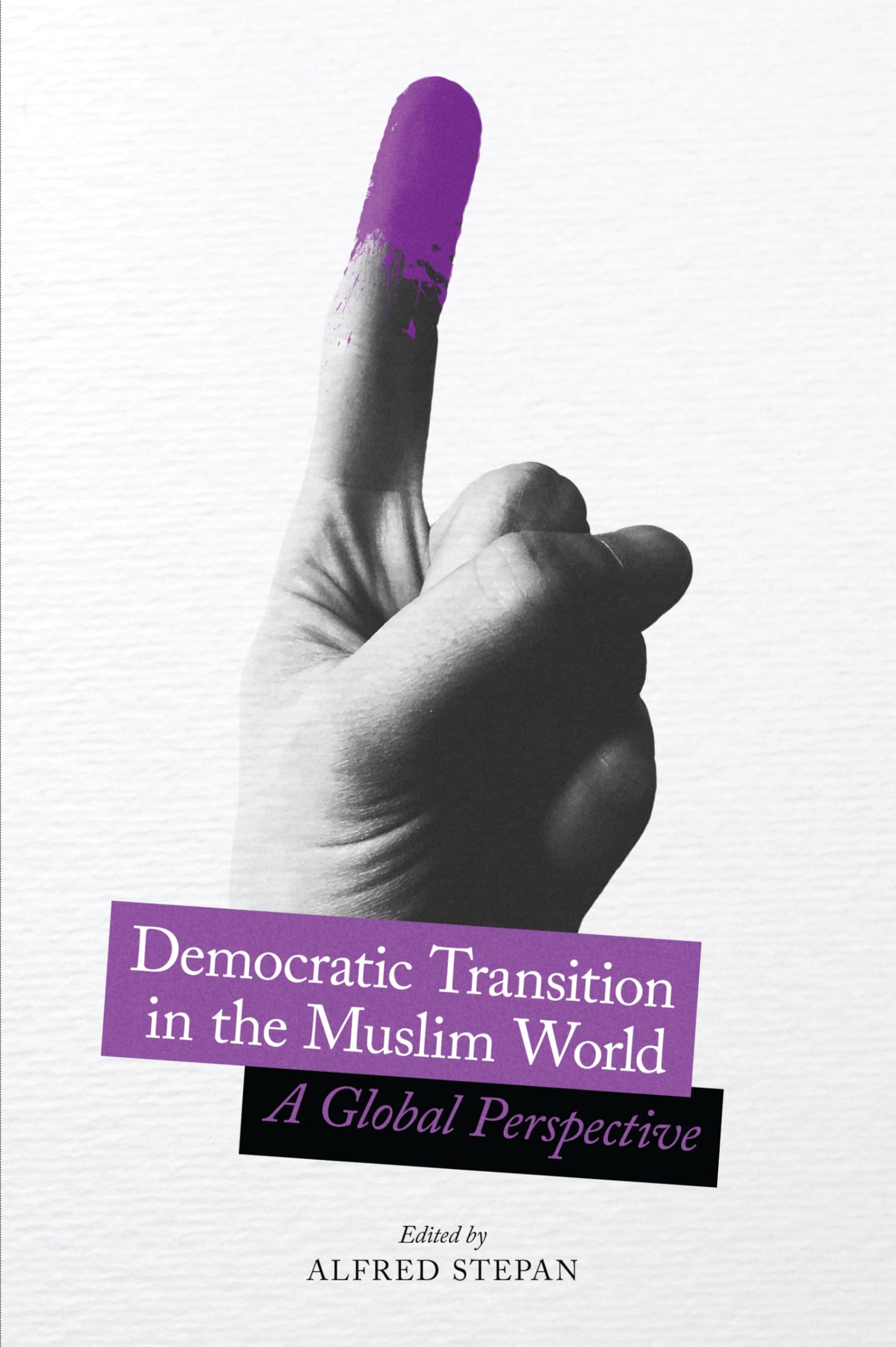 Democratic Transition in the Muslim World: A Global Perspective (Religion, Culture, and Public Life, 35),Used