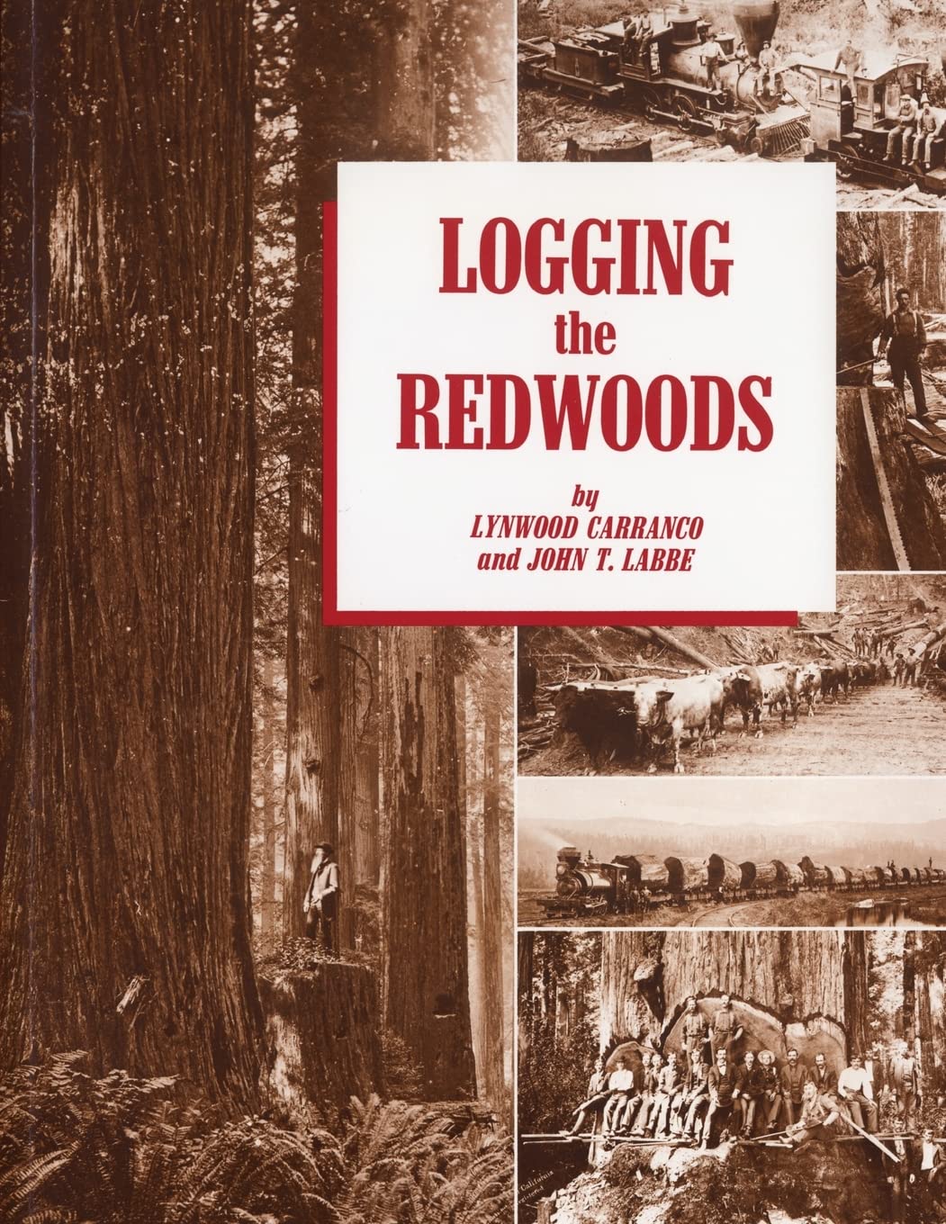 Logging the Redwoods,New