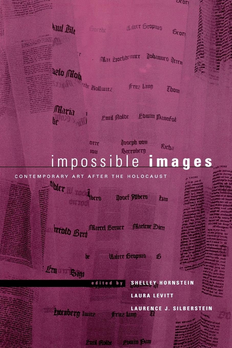 Impossible Images: Contemporary Art After The Holocaust (New Perspectives On Jewish Studies, 4),New