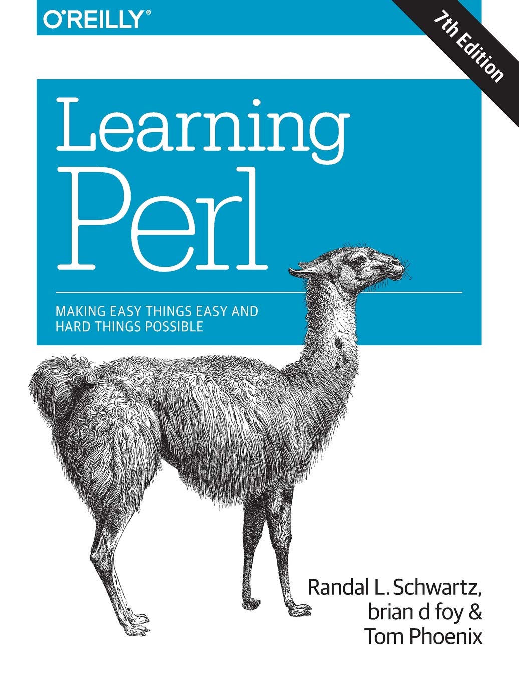 Learning Perl: Making Easy Things Easy and Hard Things Possible,Used