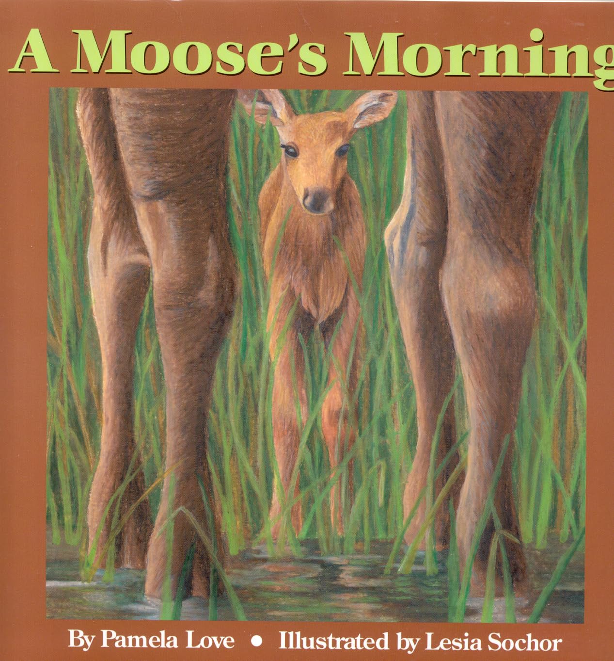 A Moose's Morning,Used