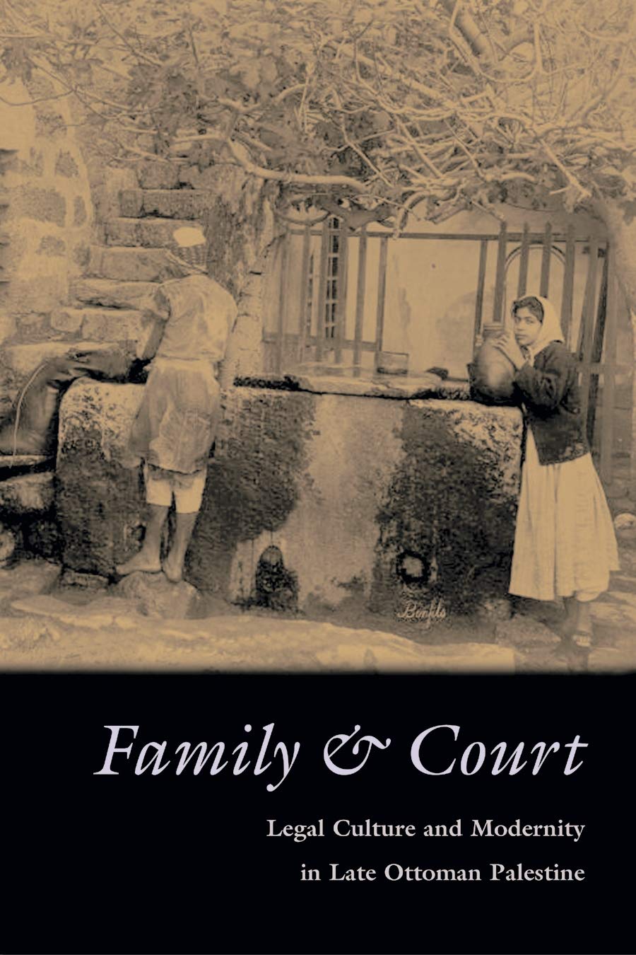 Family And Court: Legal Culture And Modernity In Late Ottoman Palestine (Middle East Studies Beyond Dominant Paradigms),Used