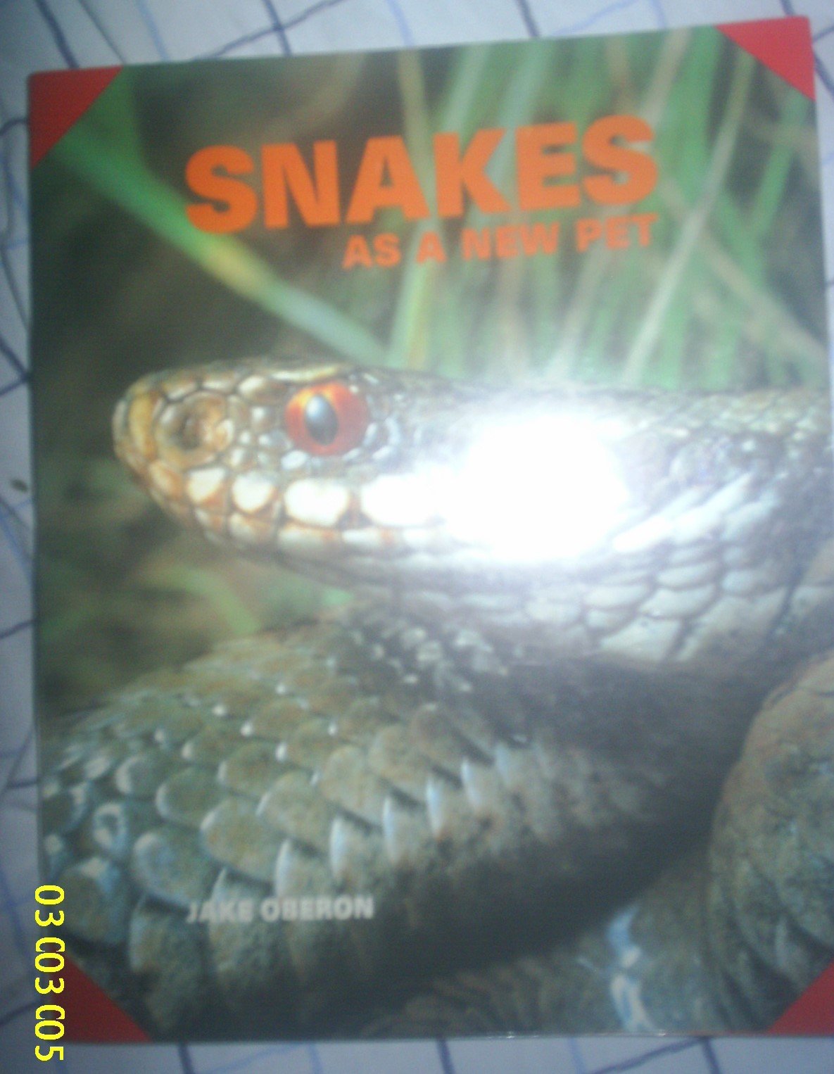 Snakes As a New Pet,Used