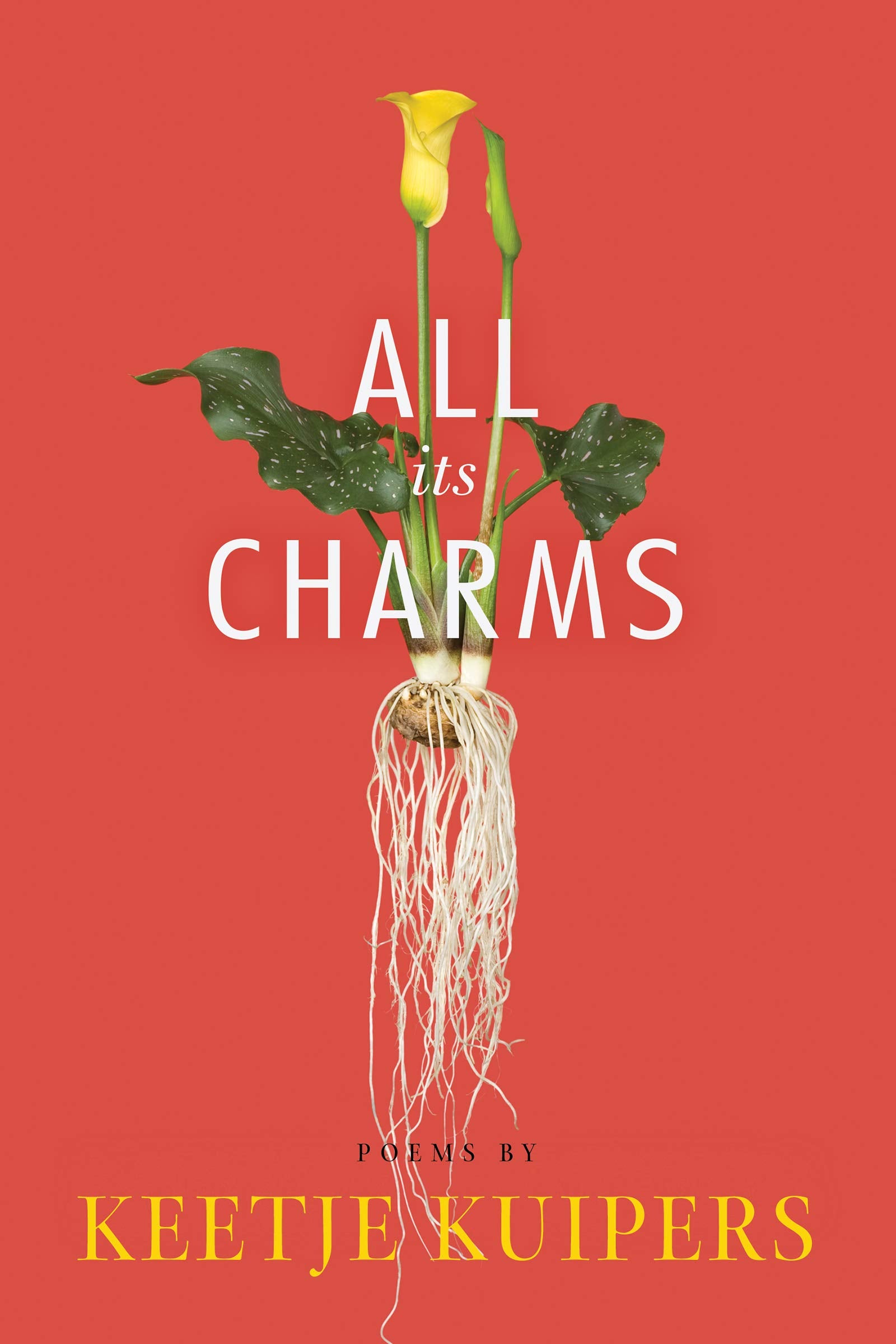 All Its Charms (American Poets Continuum, 171),Used