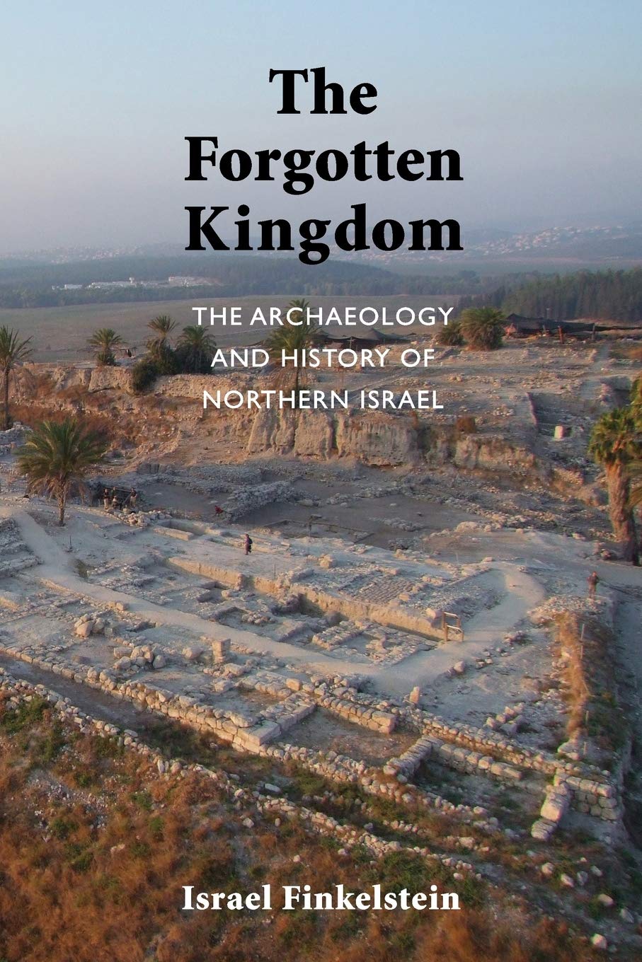 The Forgotten Kingdom: The Archaeology and History of Northern Israel (Ancient Near East Monographs),Used