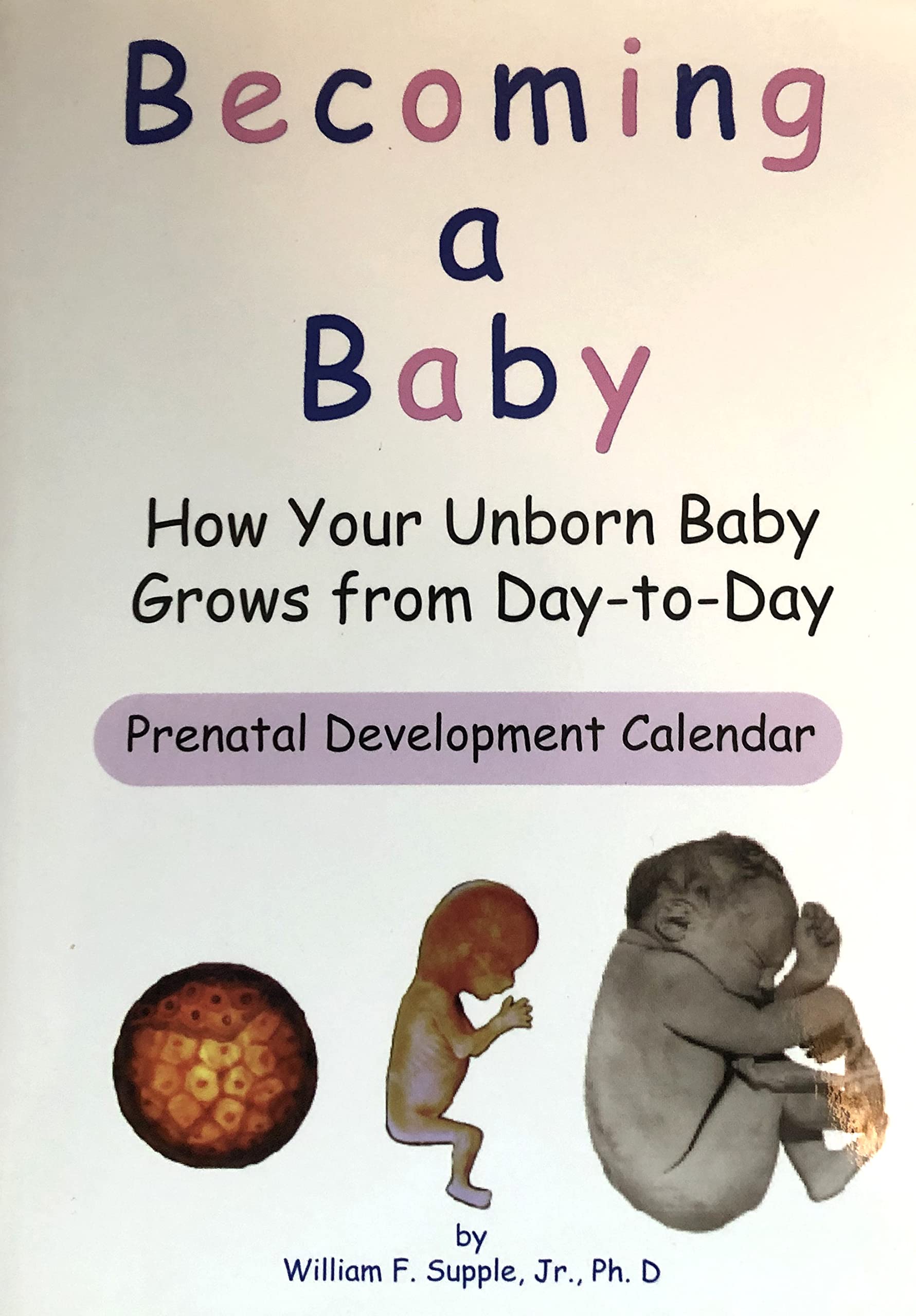 Becoming a Baby: How Your Baby Grows from DaytoDay,Used