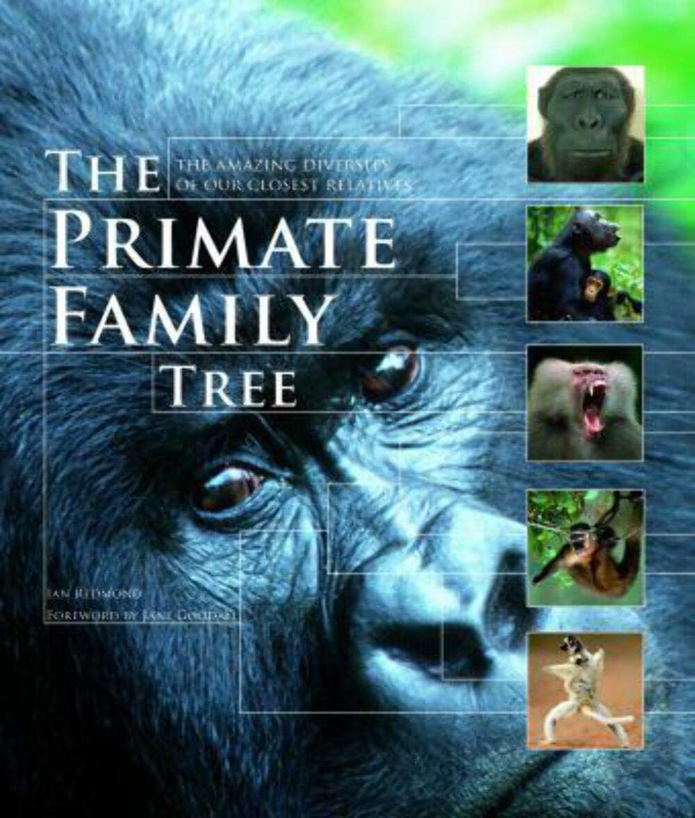 The Primate Family Tree: The Amazing Diversity of Our Closest Relatives,Used