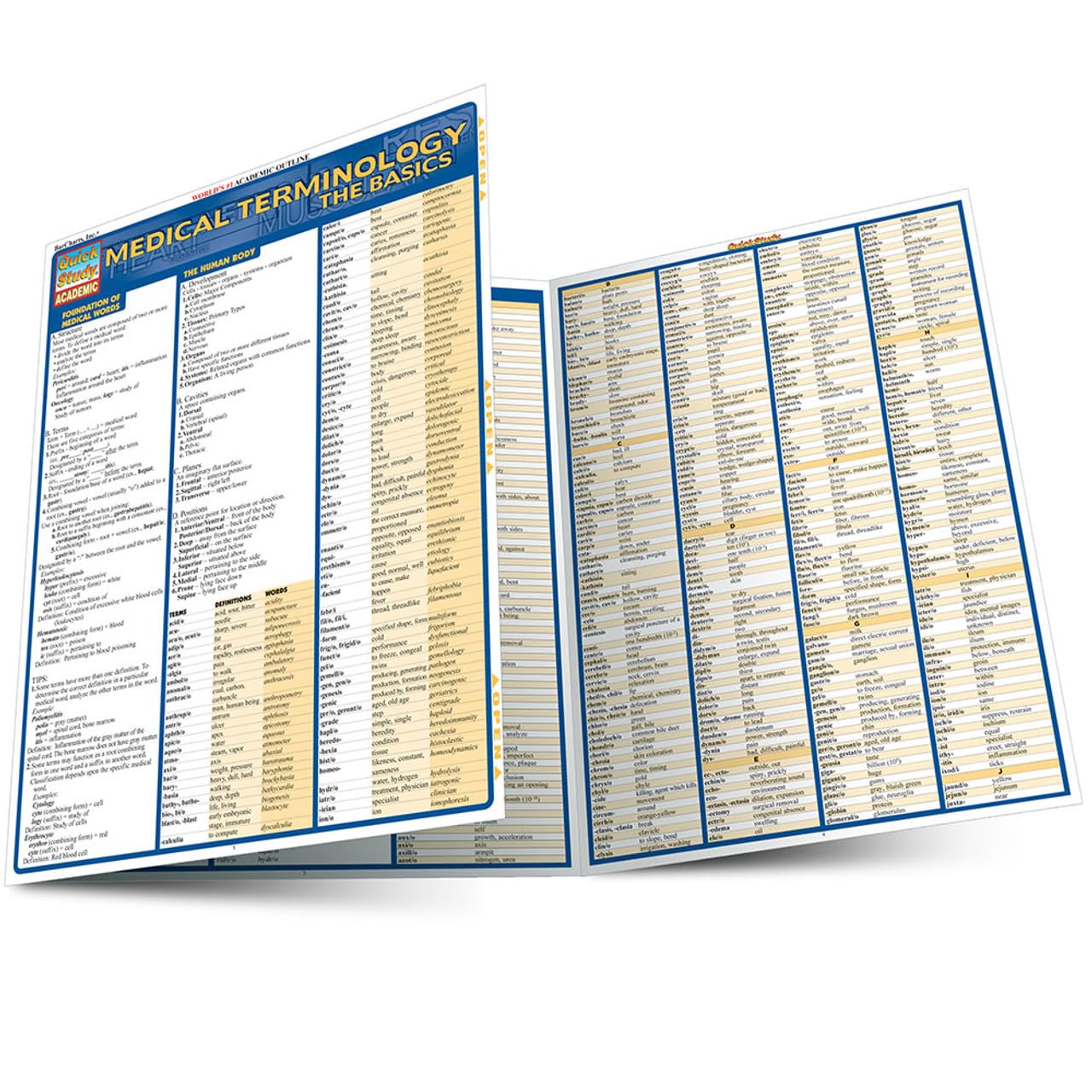 Medical Terminology: The Basics QuickStudy Laminated Reference Guide (QuickStudy Academic),New