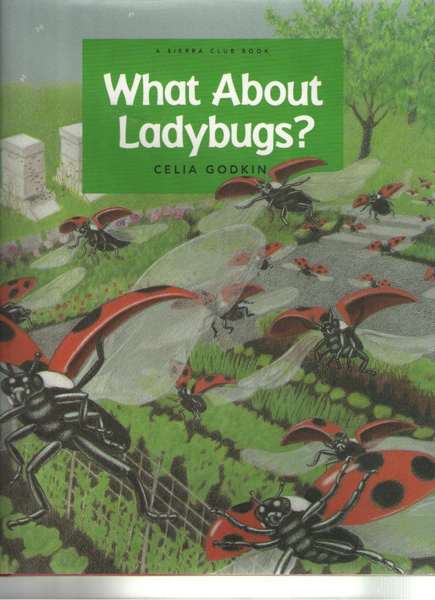 What About Ladybugs?,Used
