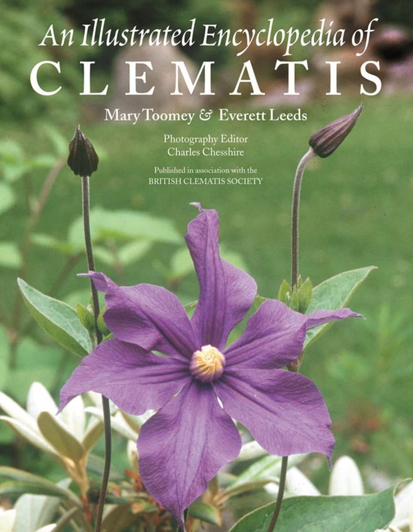 An Illustrated Encyclopedia of Clematis,Used