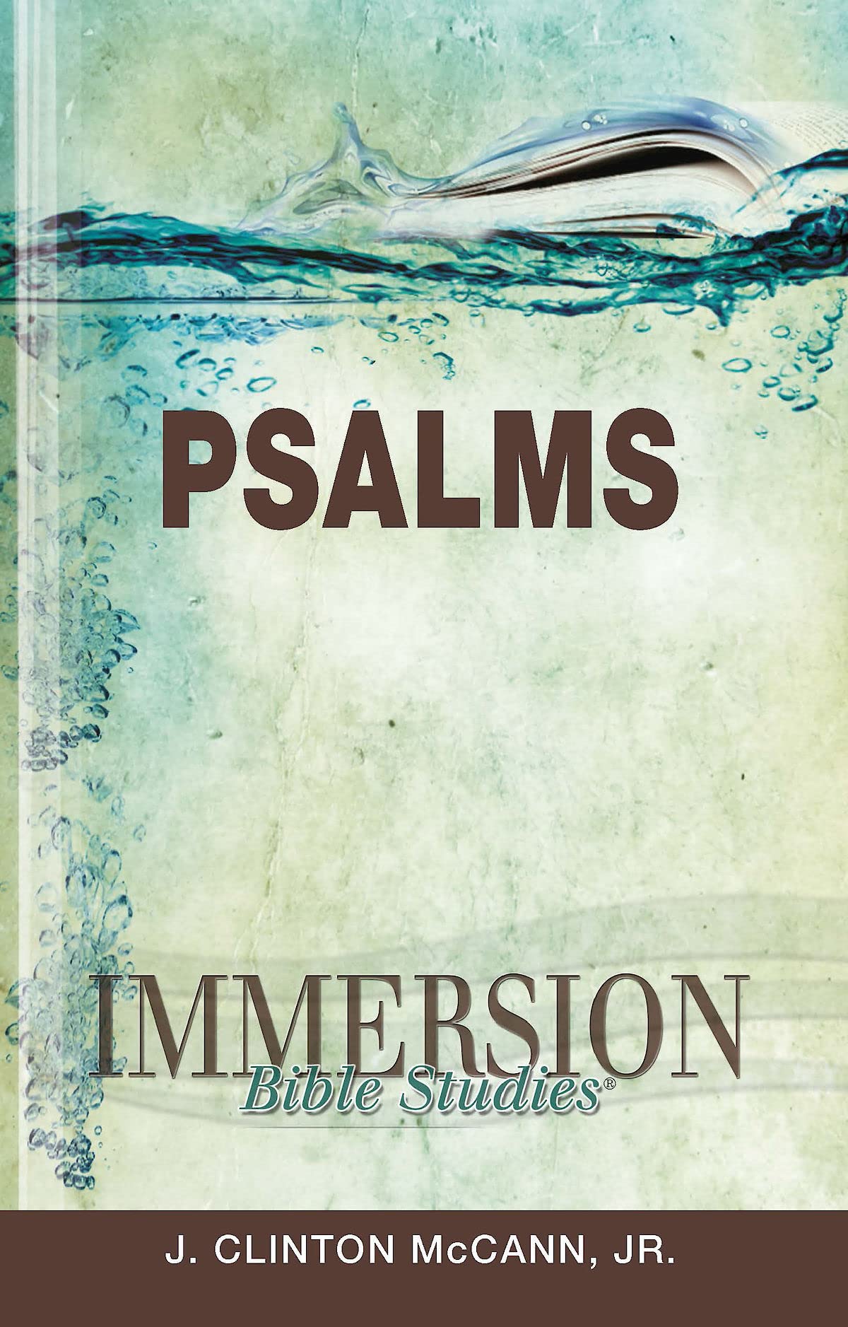 Immersion Bible Studies: Psalms,Used