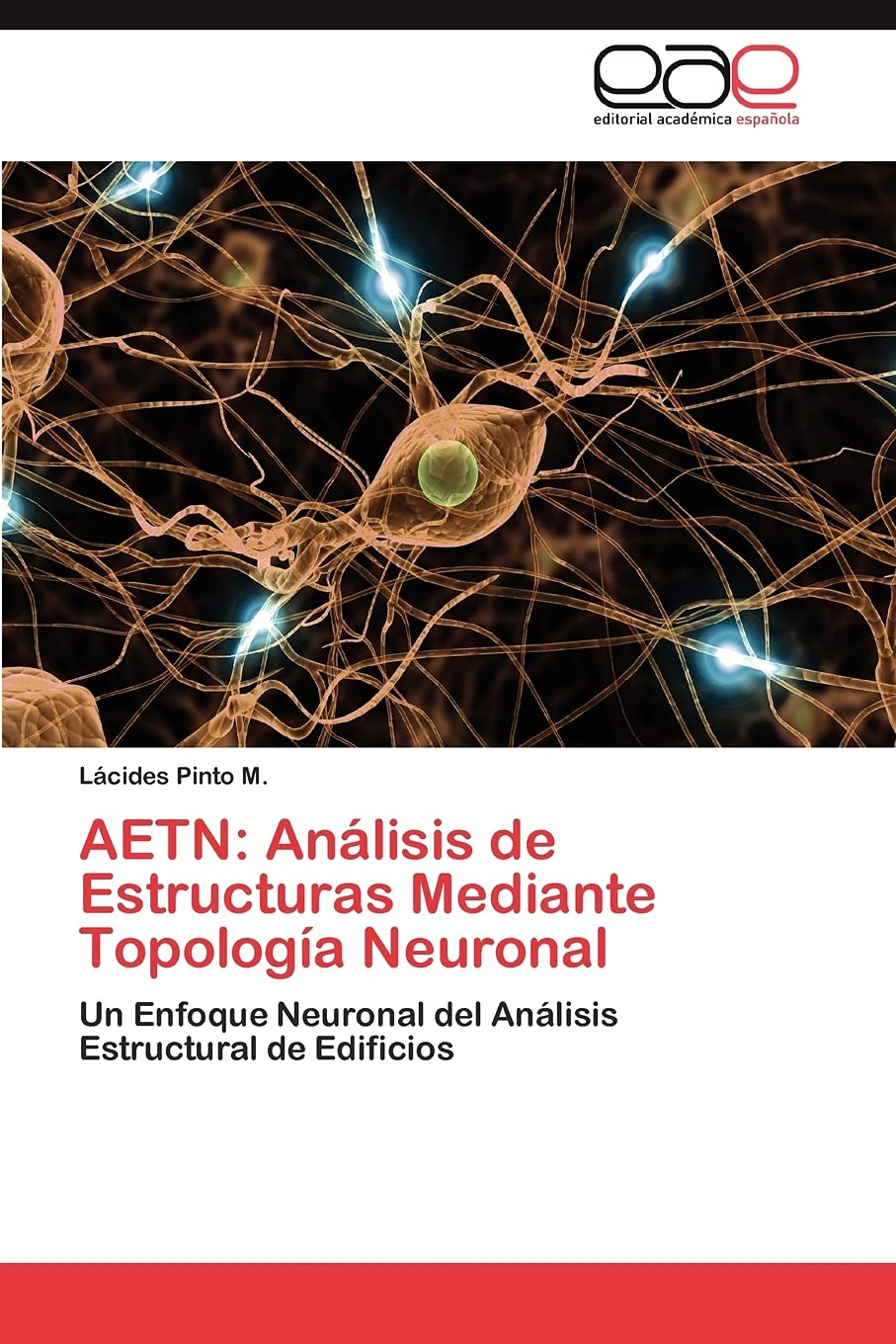 AETN: Anlisis de Estructuras Mediante Topologa Neuronal: Un Enfoque Neuronal del Anlisis Estructural de Edificios (Spanish,Used