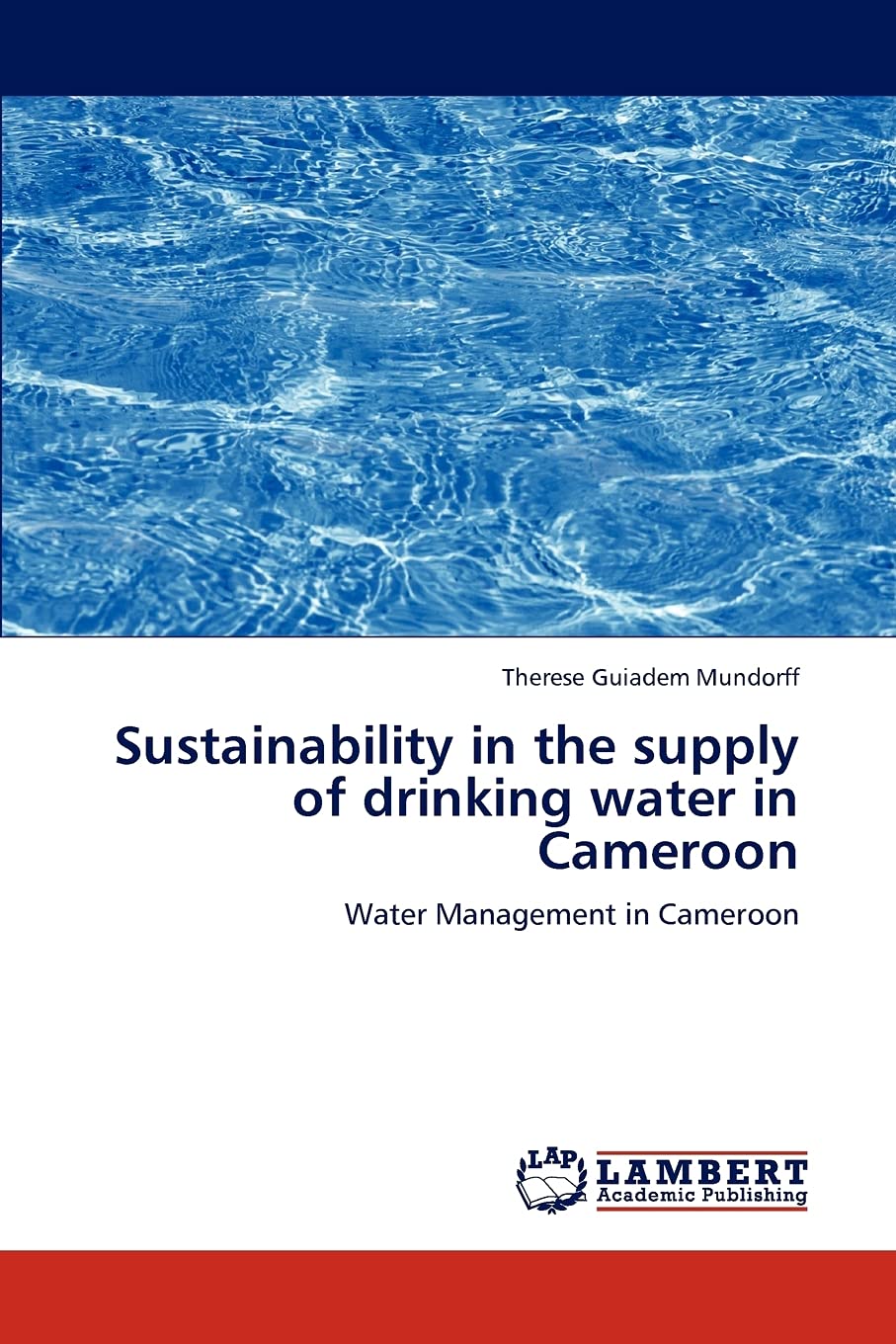 Sustainability in the supply of drinking water in Cameroon: Water Management in Cameroon,Used