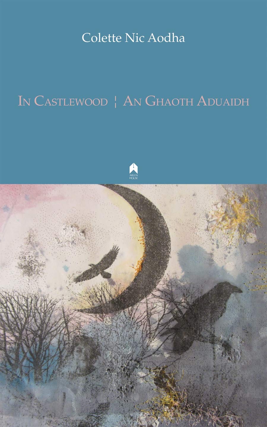 In Castlewood / An Ghaoth Aduaidh,Used