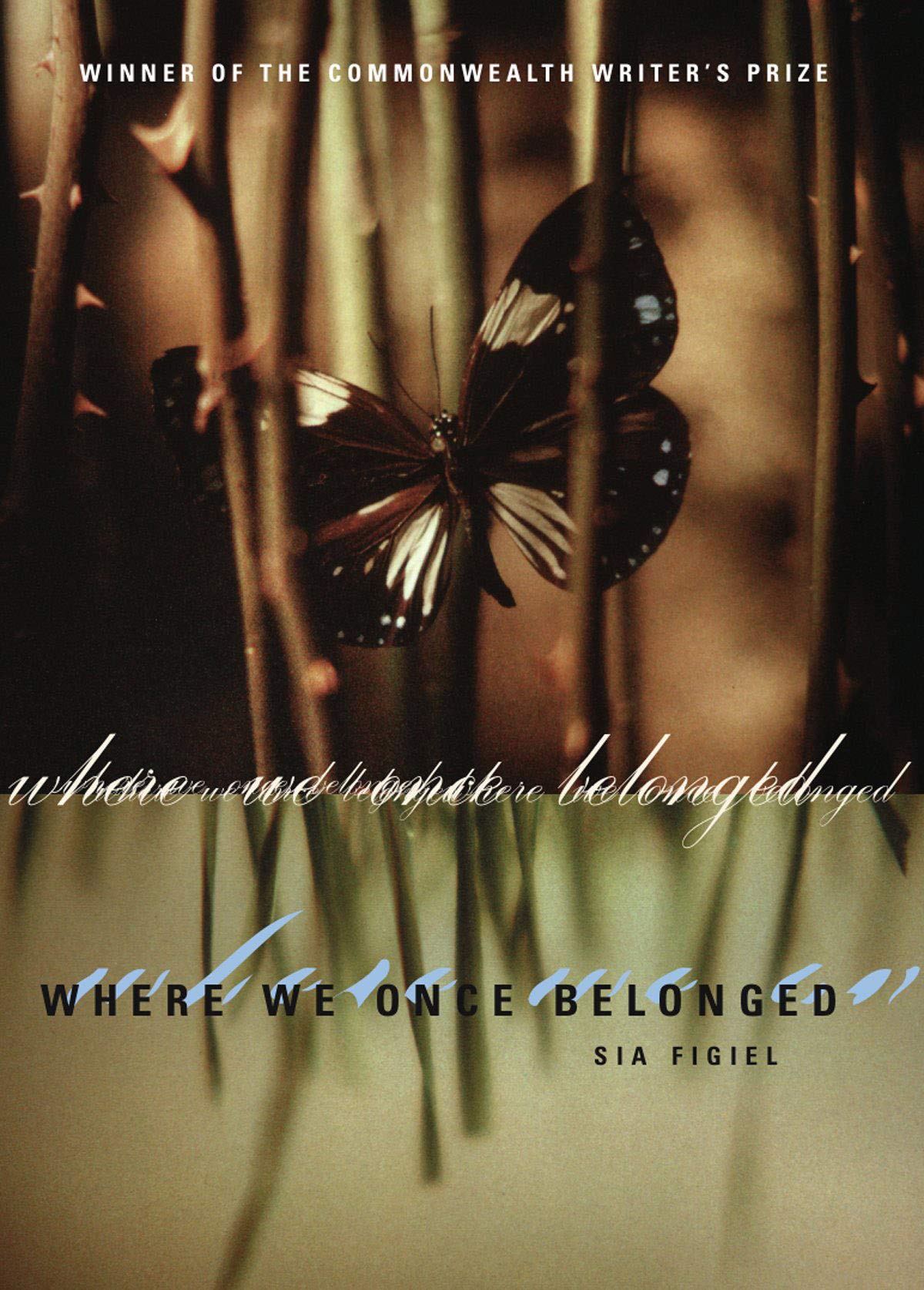 Where We Once Belonged,Used