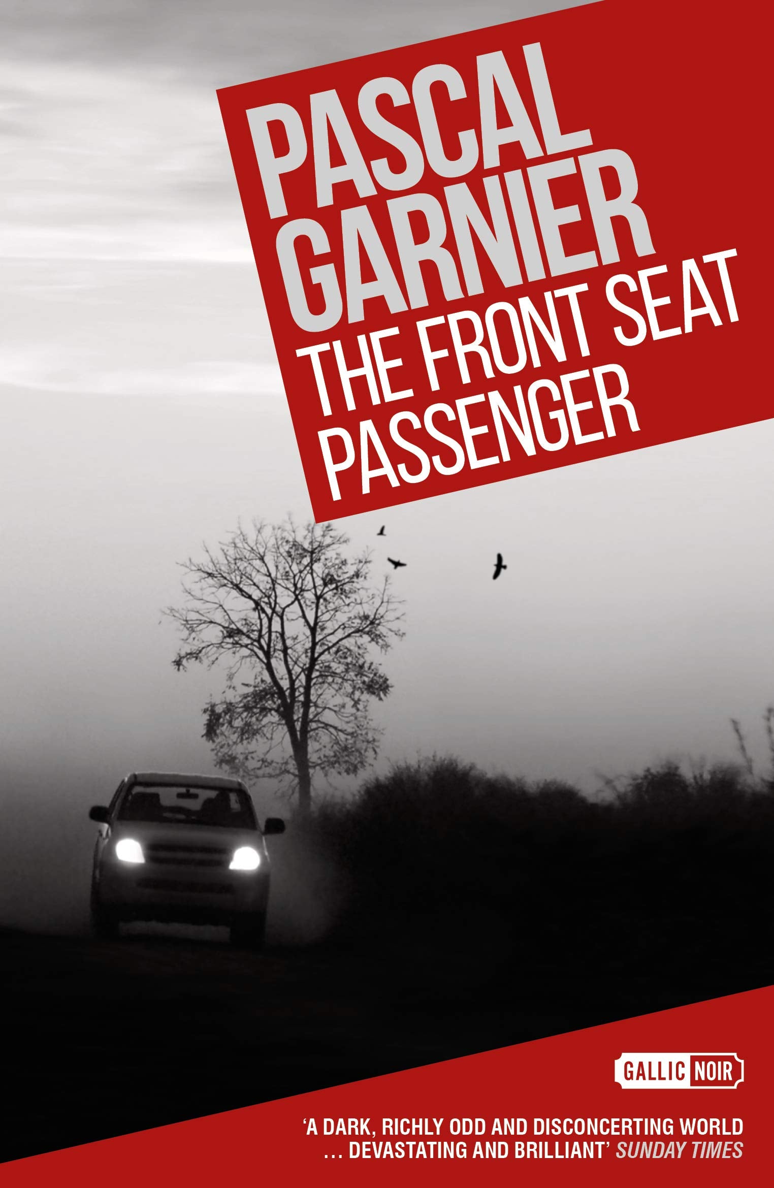 The Front Seat Passenger: Shocking, hilarious and poignant noir,Used