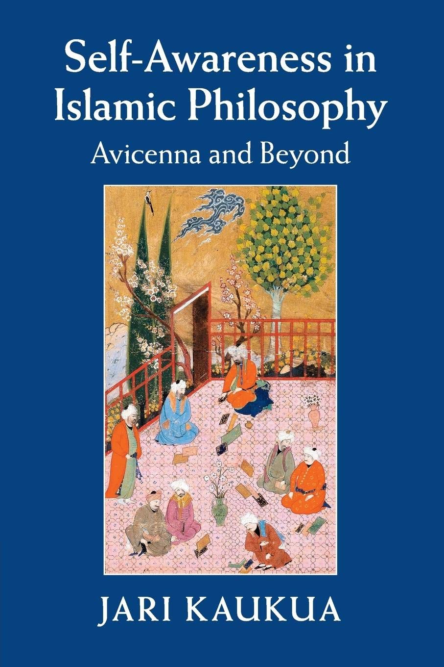 SelfAwareness in Islamic Philosophy: Avicenna and Beyond,Used