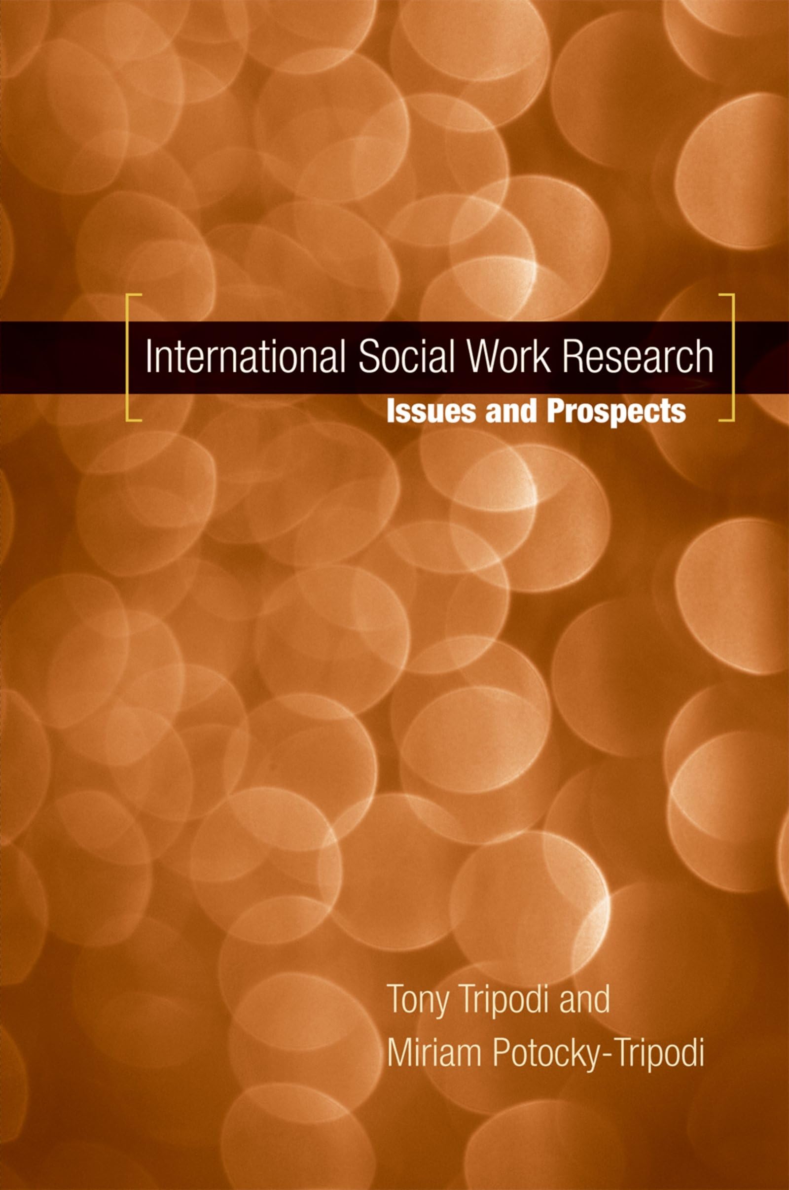 International Social Work Research: Issues And Prospects