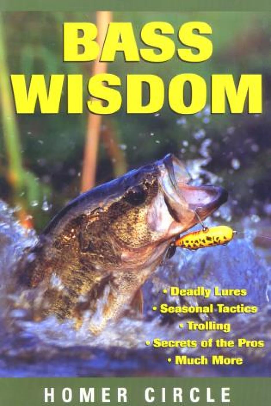 Bass Wisdom,Used
