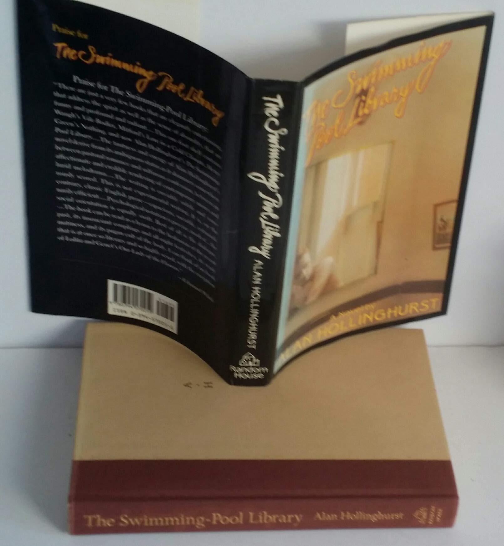 The SwimmingPool Library,New