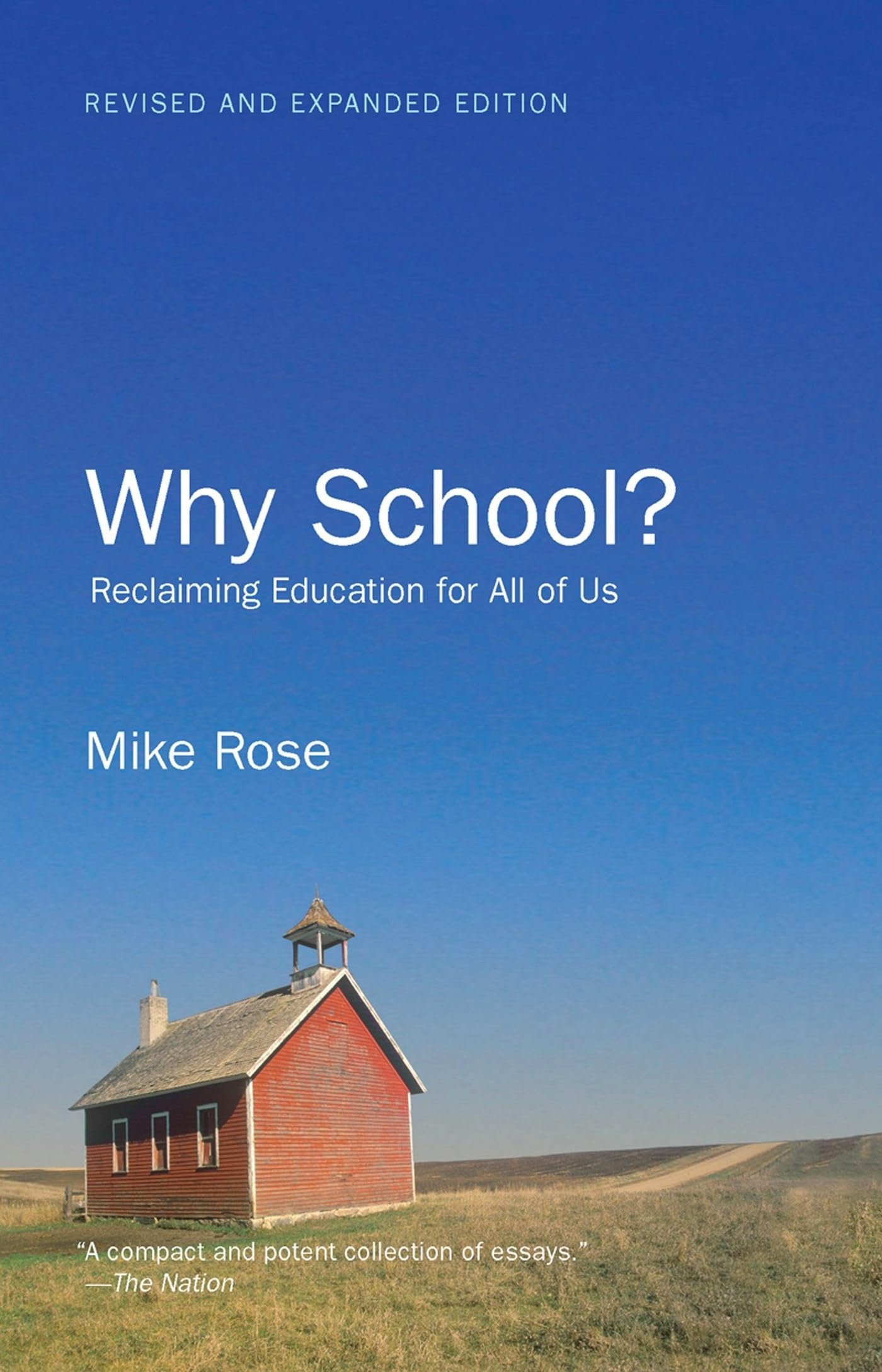 Why School?: Reclaiming Education for All of Us,New