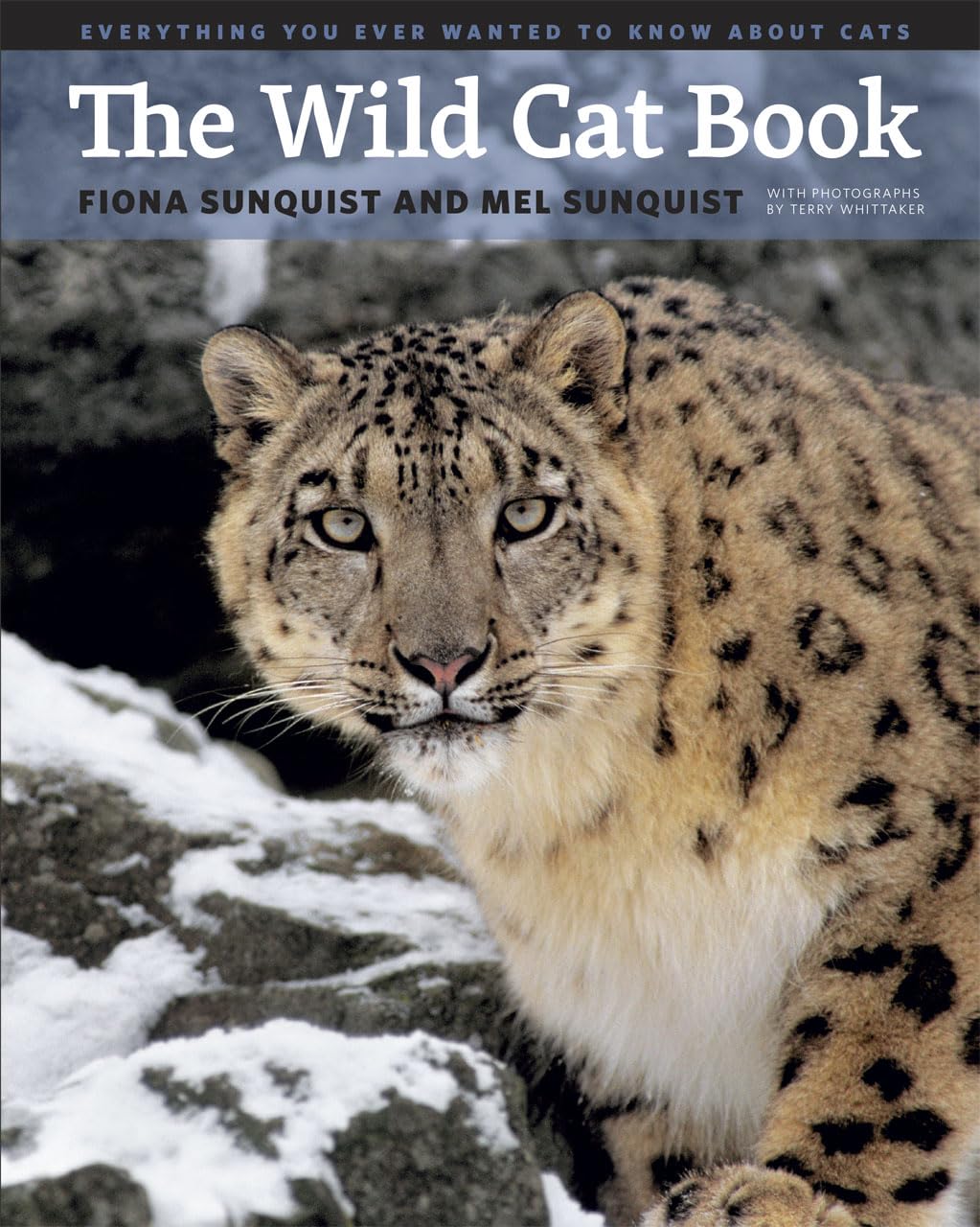 The Wild Cat Book: Everything You Ever Wanted to Know about Cats,Used