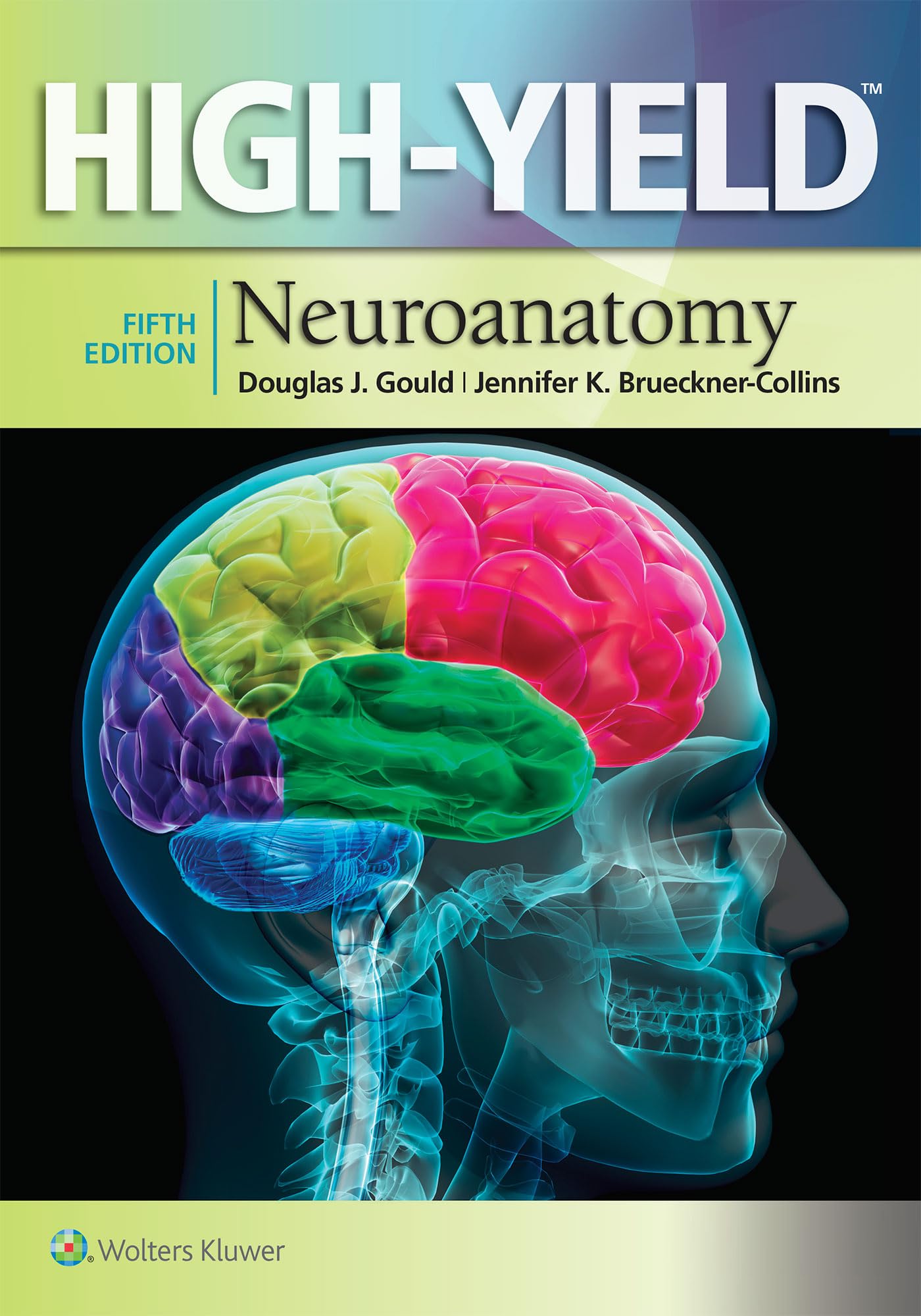 HighYield Neuroanatomy (HighYield Series),Used