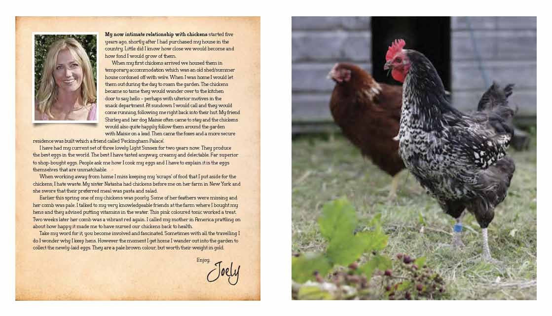 Chickens: The Essential Guide to Choosing and Keeping Happy, Healthy Hens,Used