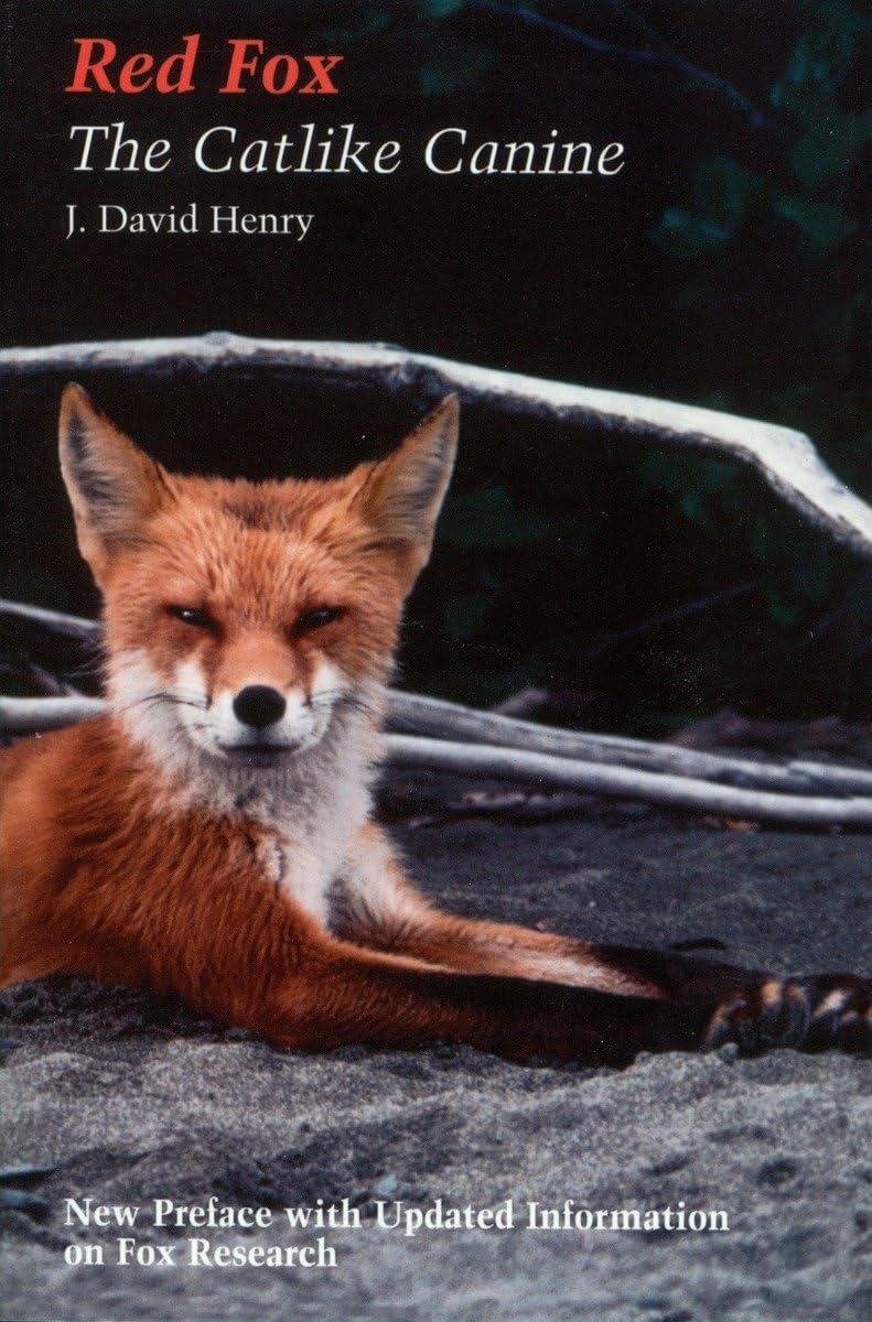 Red fox: The Catlike Canine (Smithsonian Nature Book),Used