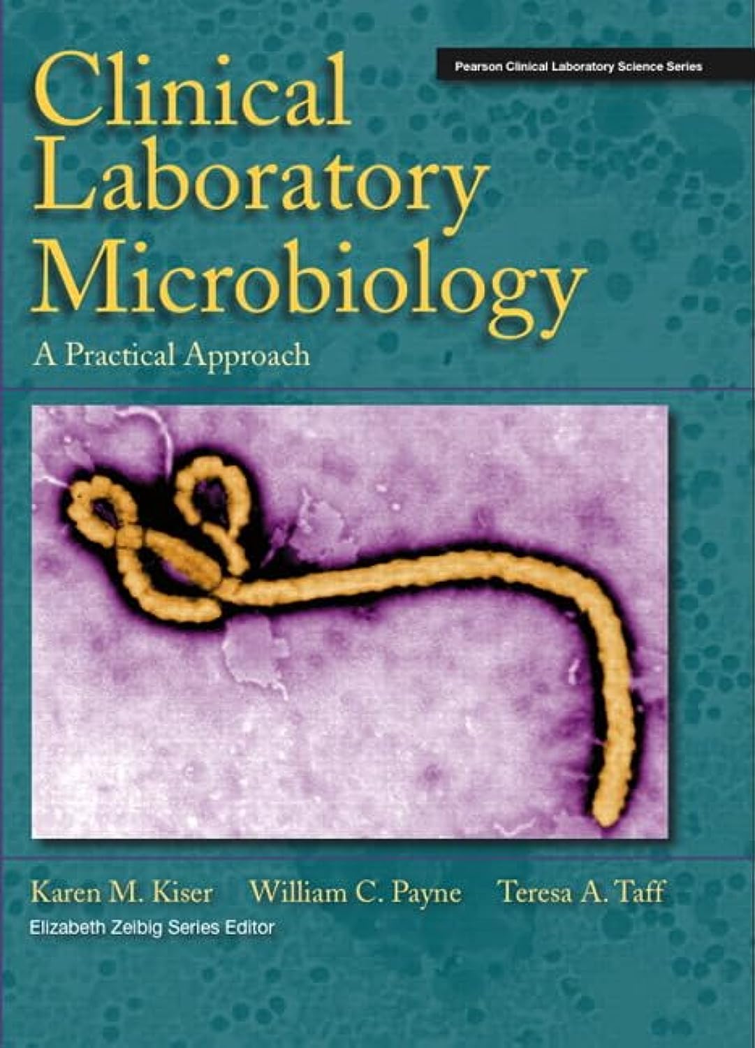 Clinical Laboratory Microbiology: A Practical Approach,Used
