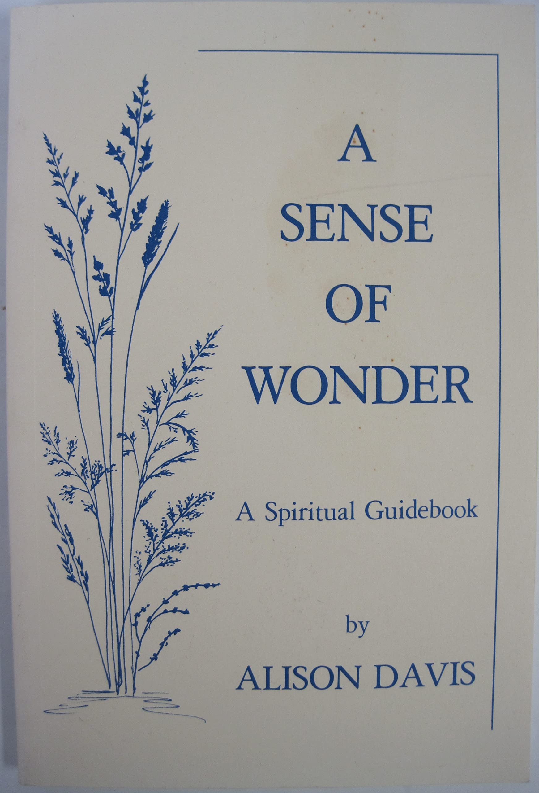 Sense of Wonder: A Spiritual Guidebook,Used