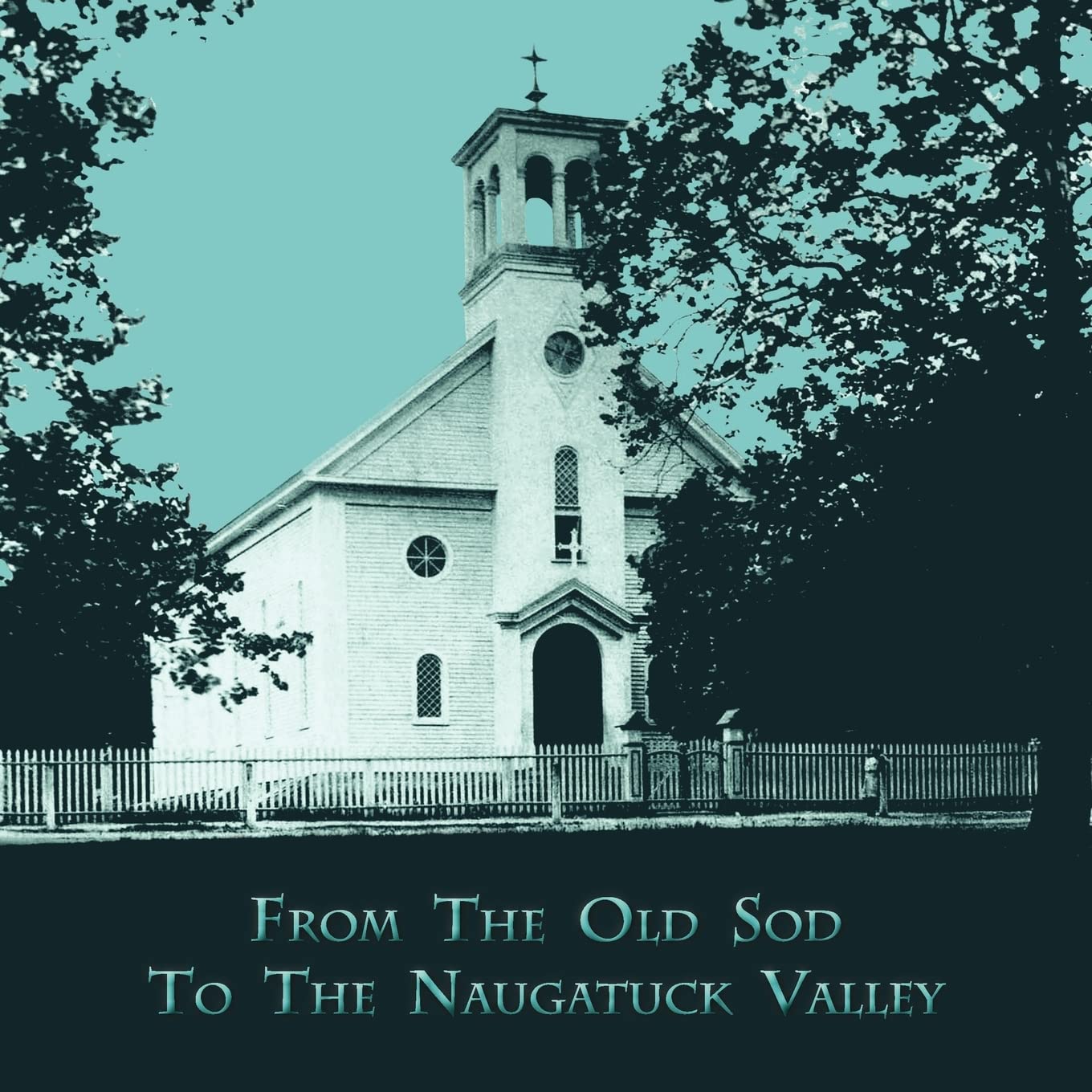 From The Old Sod To The Naugatuck Valley,Used