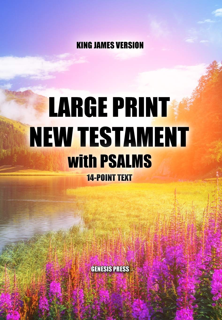 Large Print New Testament with Psalms,Used