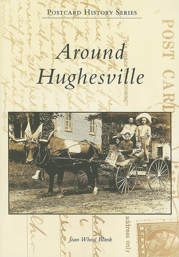 Around Hughesville (Pa) (Postcard History Series),Used