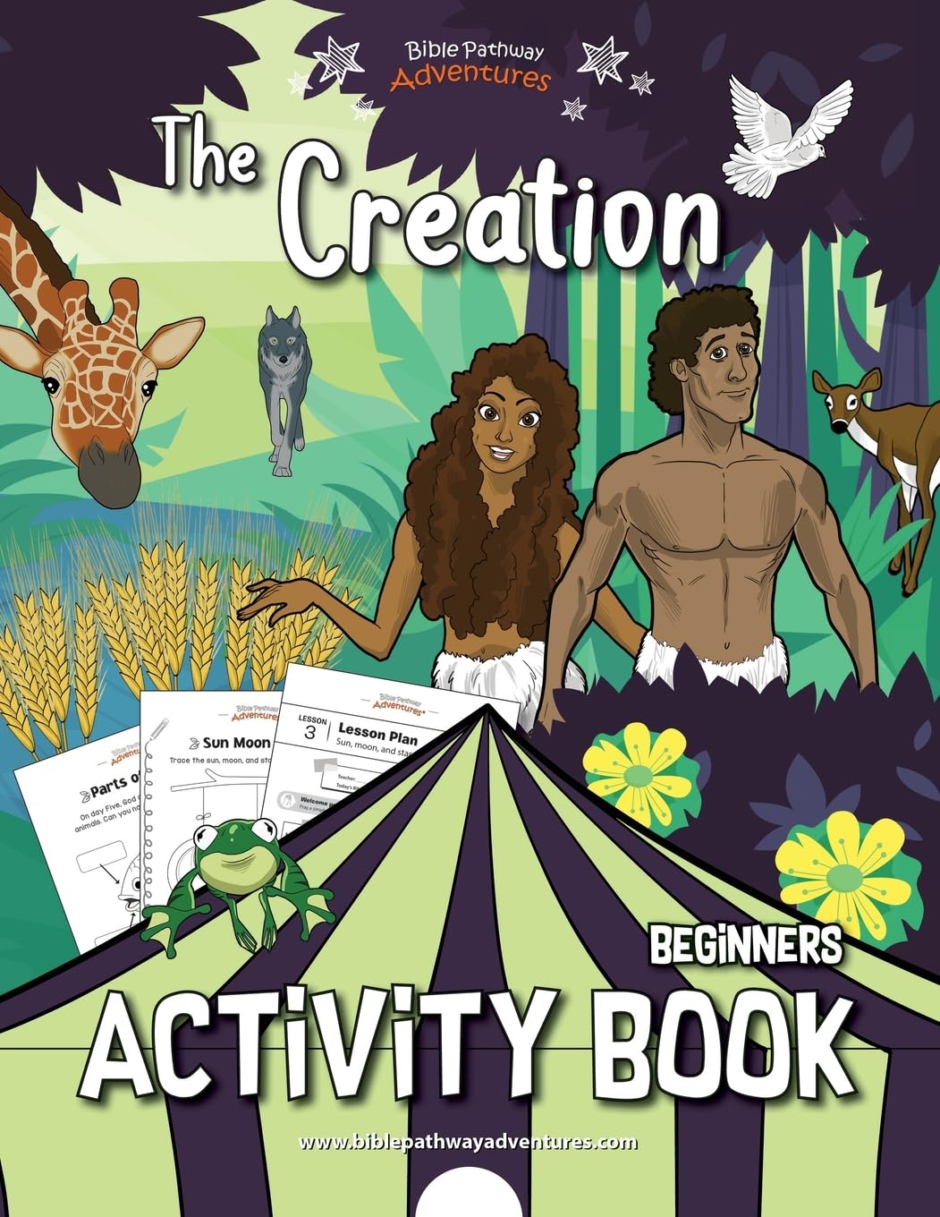 The Creation Activity Book,Used