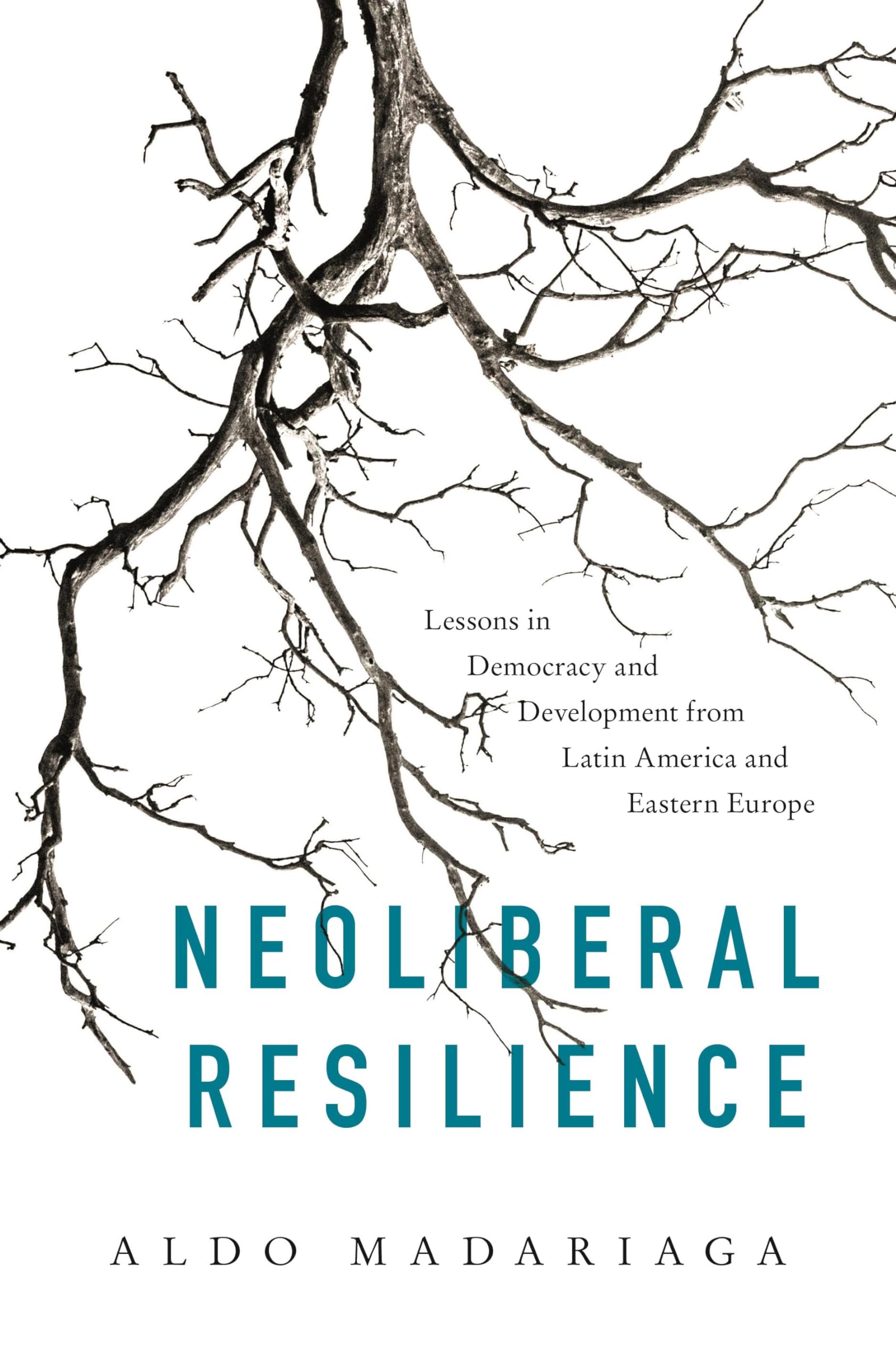 Neoliberal Resilience: Lessons in Democracy and Development from Latin America and Eastern Europe,Used