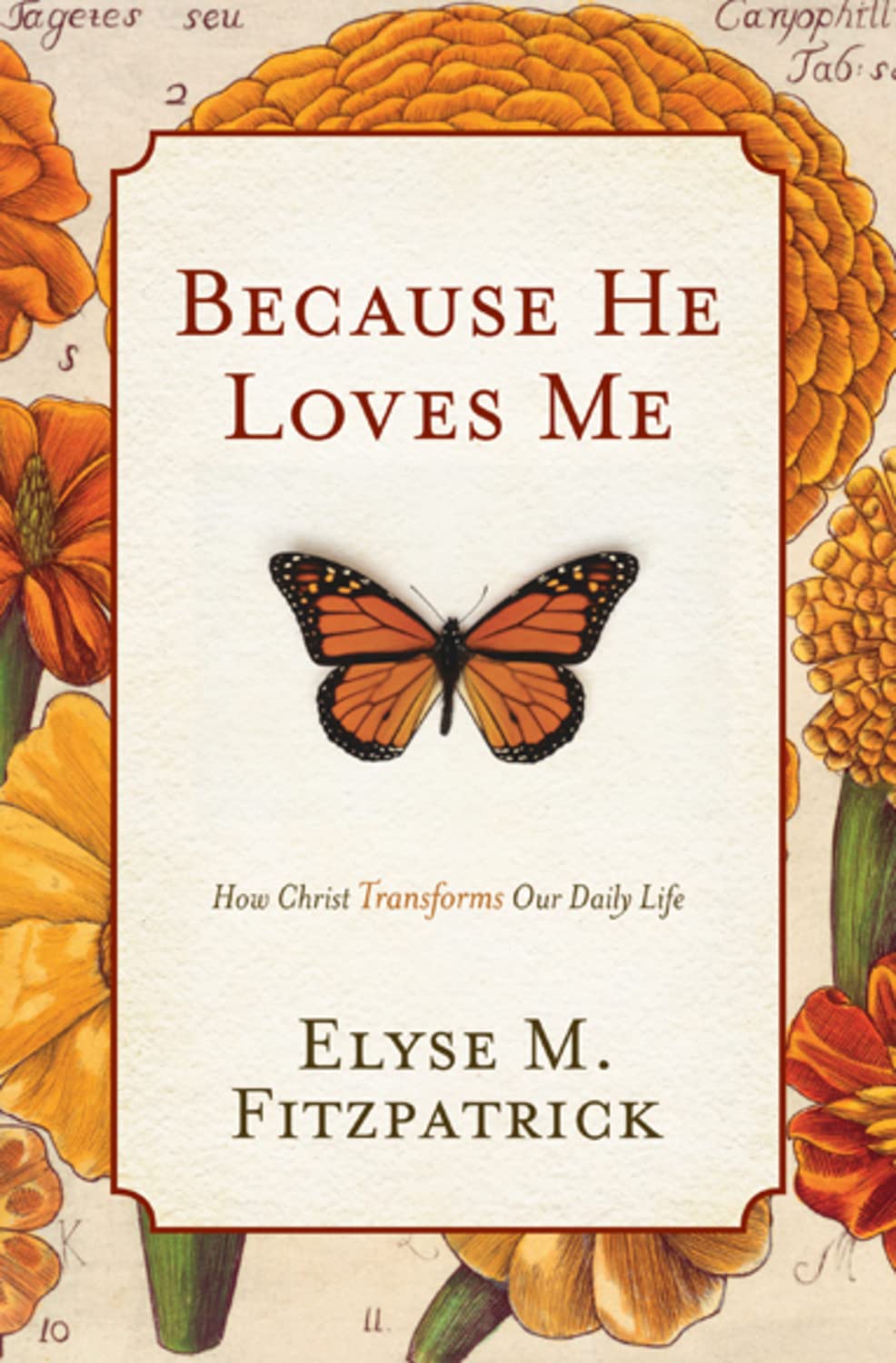 Because He Loves Me: How Christ Transforms Our Daily Life,Used