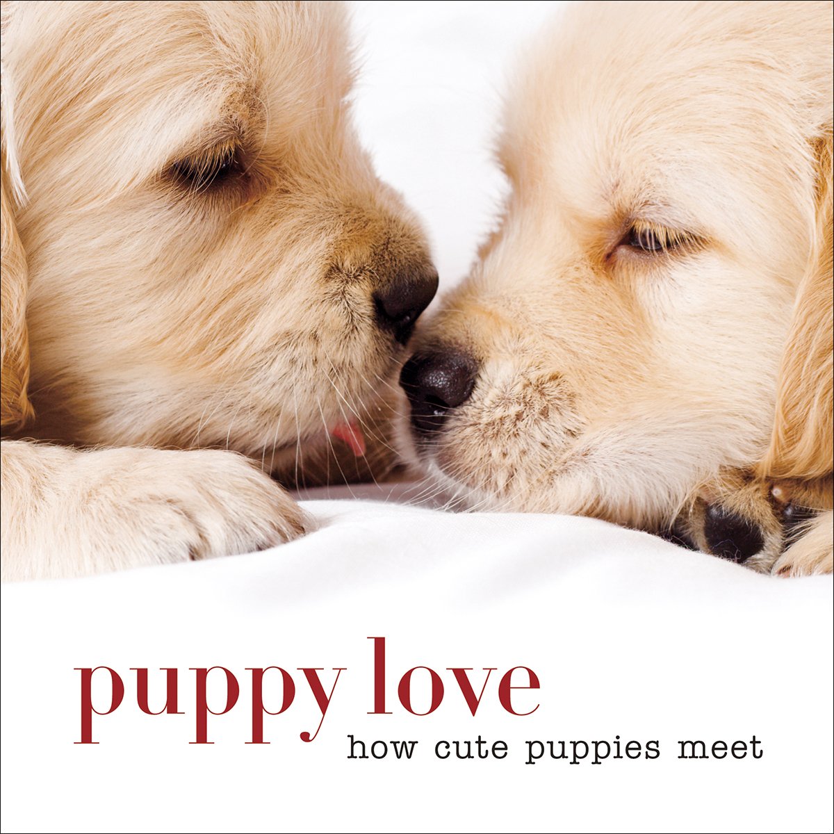 Puppy Love: How Cute Puppies Meet,Used