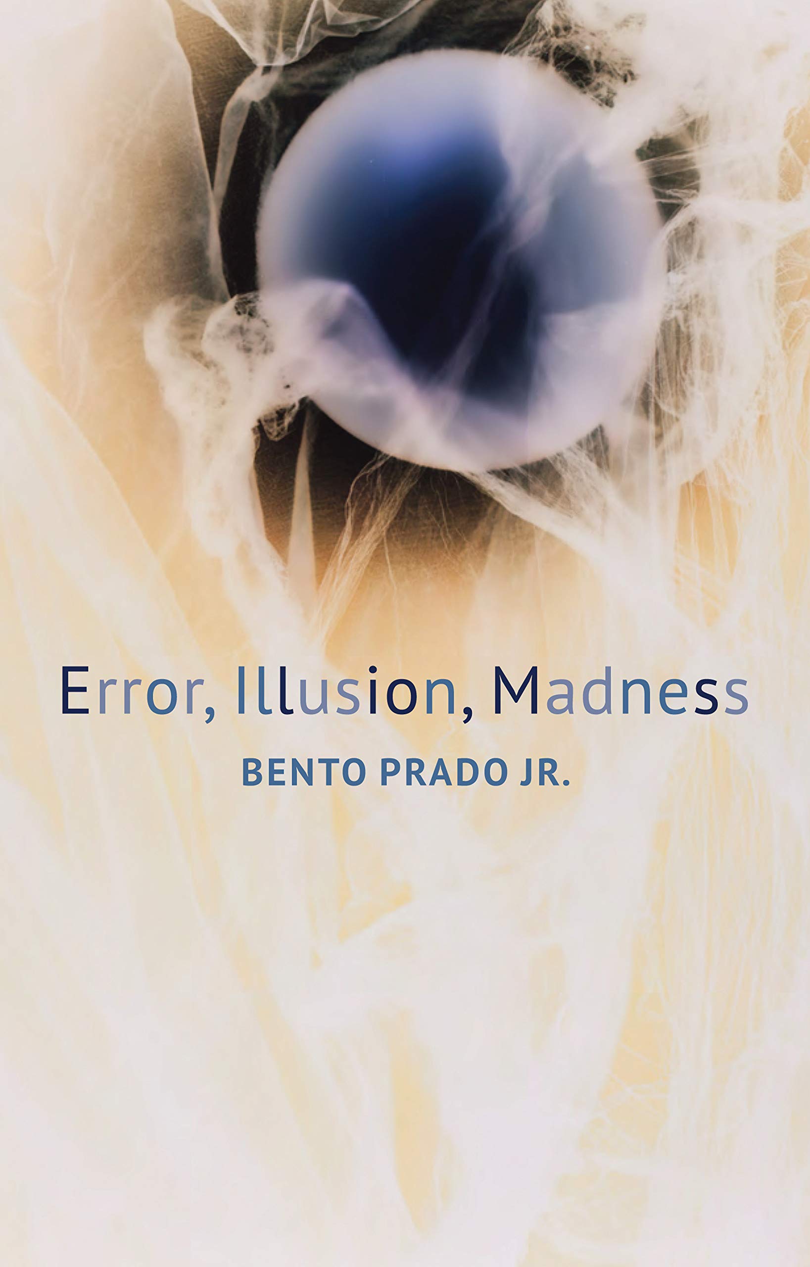Error, Illusion, Madness (Critical South)