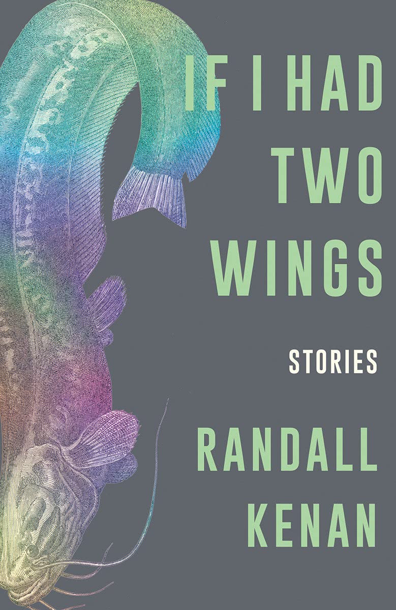 If I Had Two Wings: Stories,Used