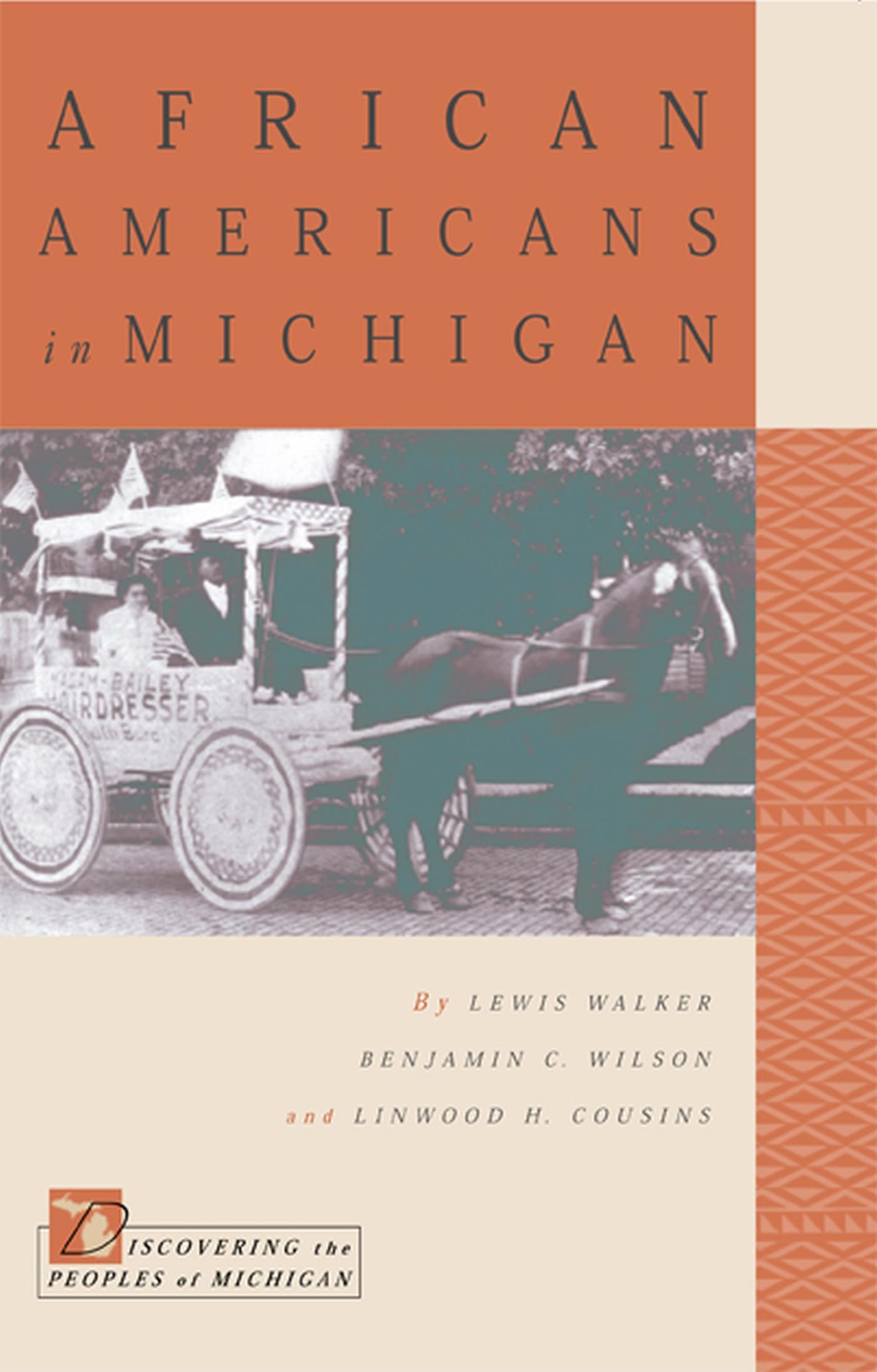 African Americans In Michigan,Used