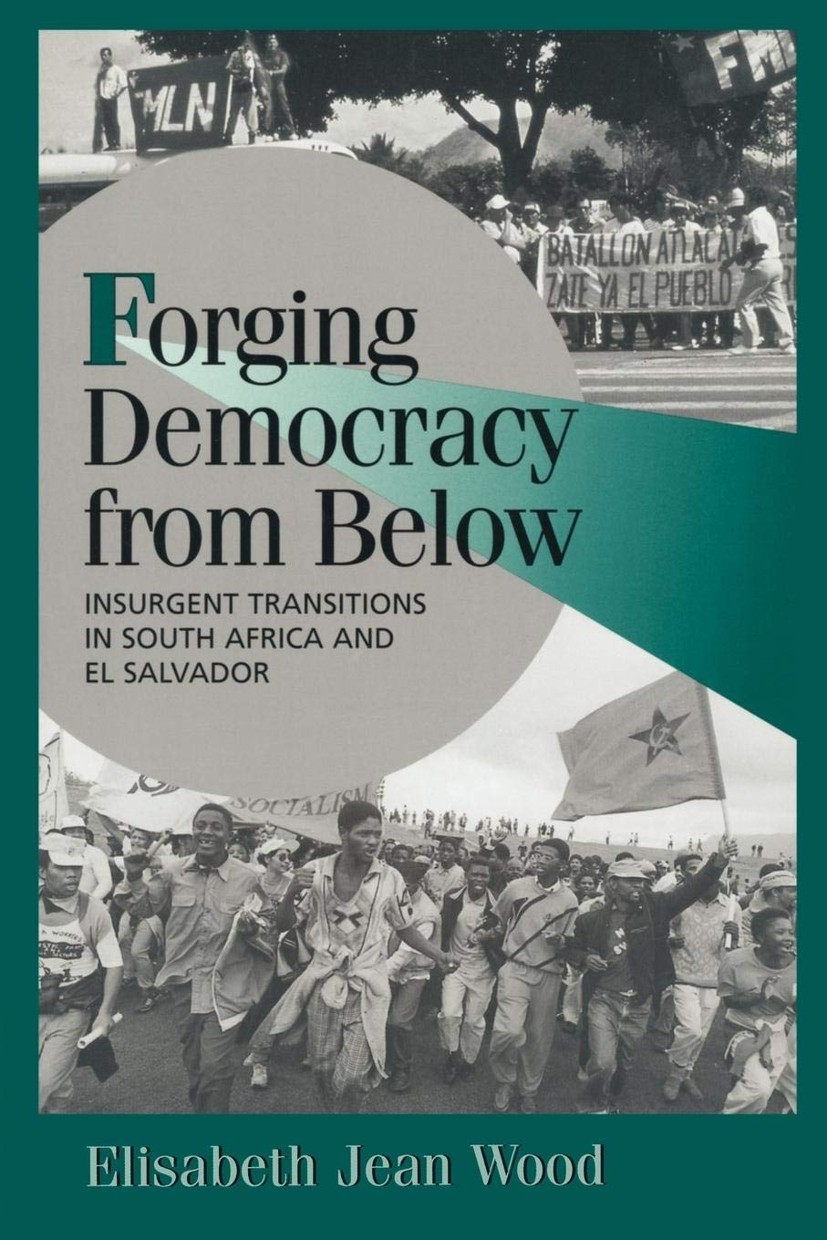 Forging Democracy from Below: Insurgent Transitions in South Africa and El Salvador (Cambridge Studies in Comparative Politics),New