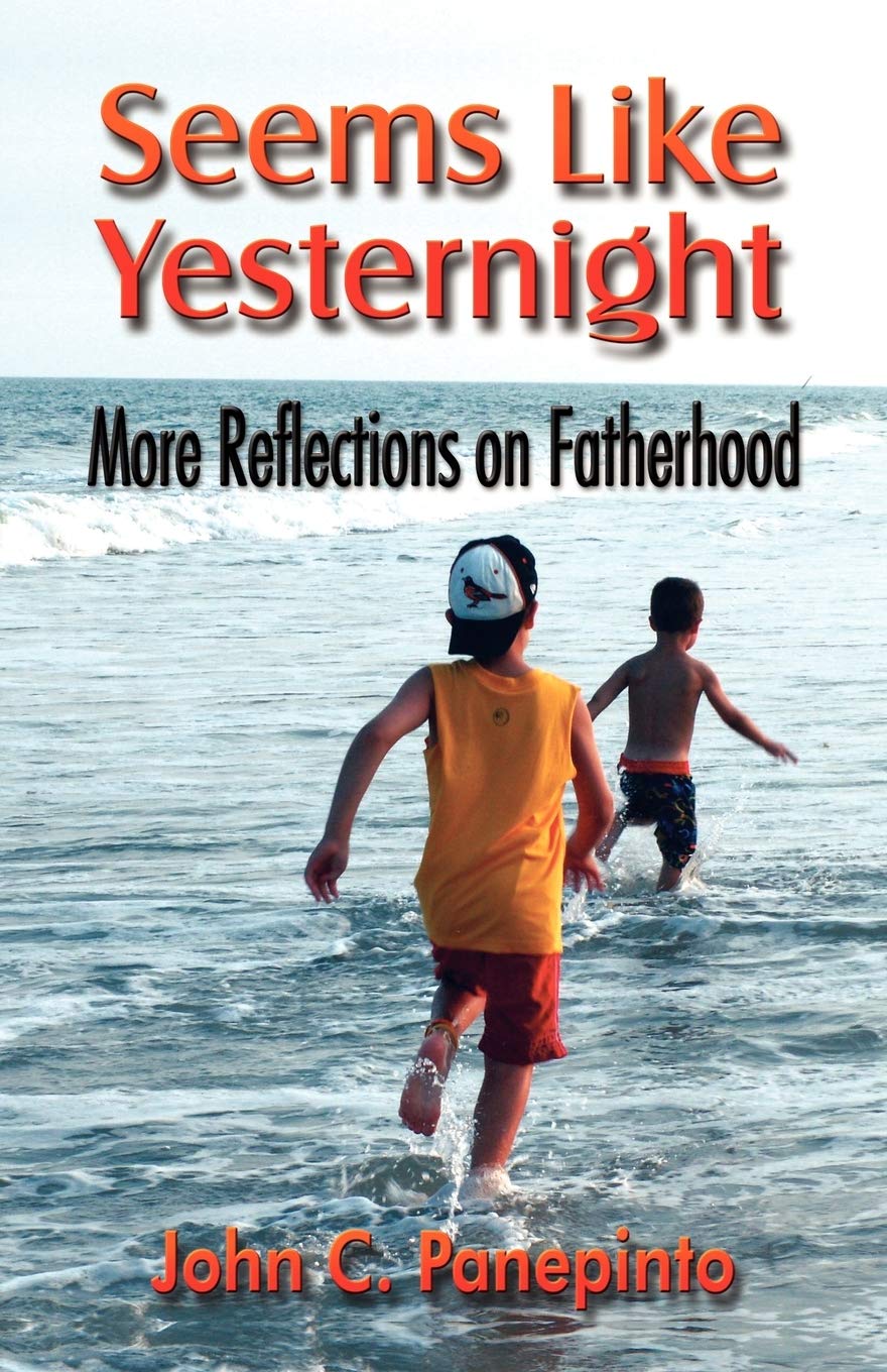 Seems Like Yesternight: More Reflections on Fatherhood,Used