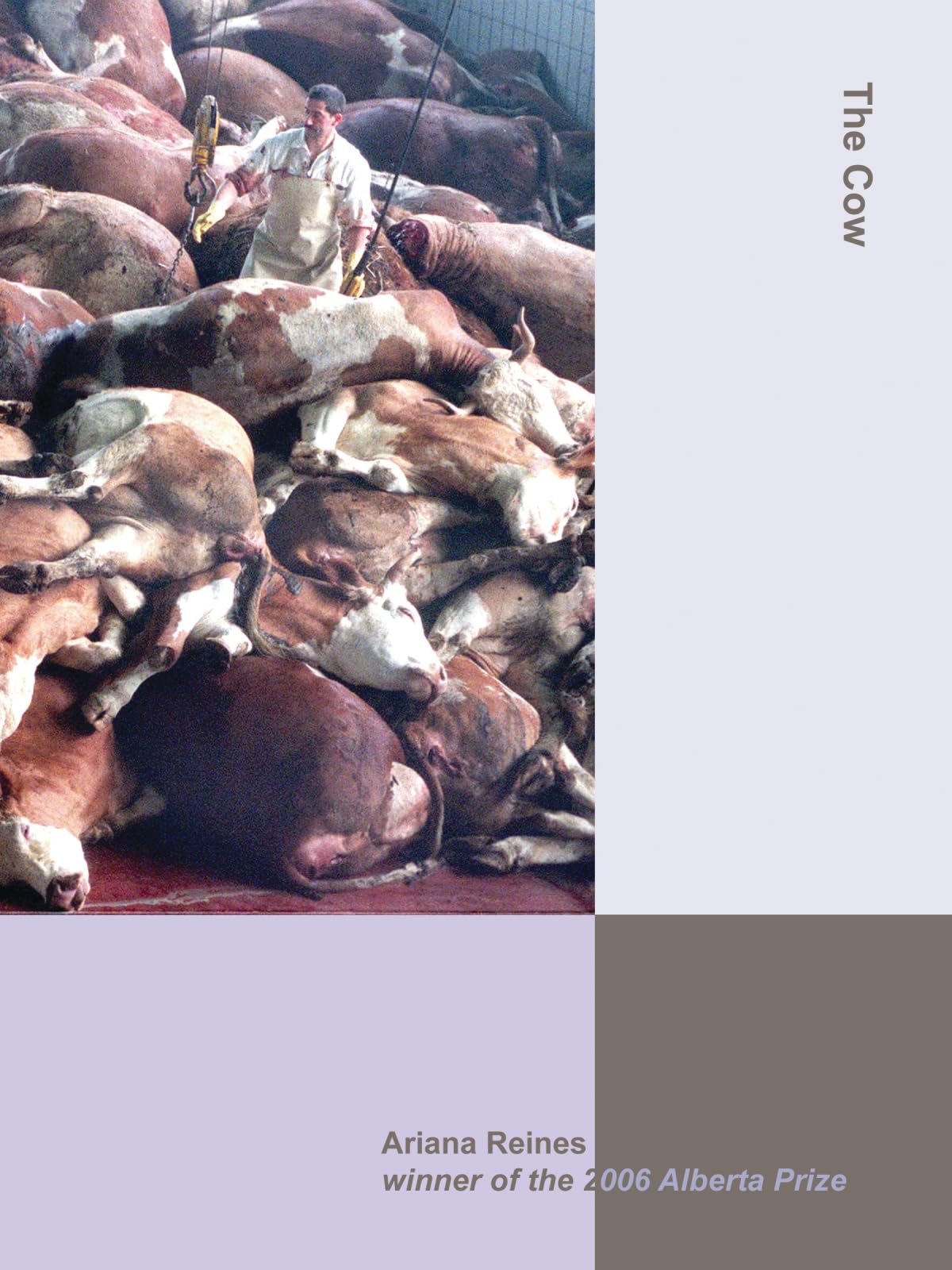 The Cow,Used